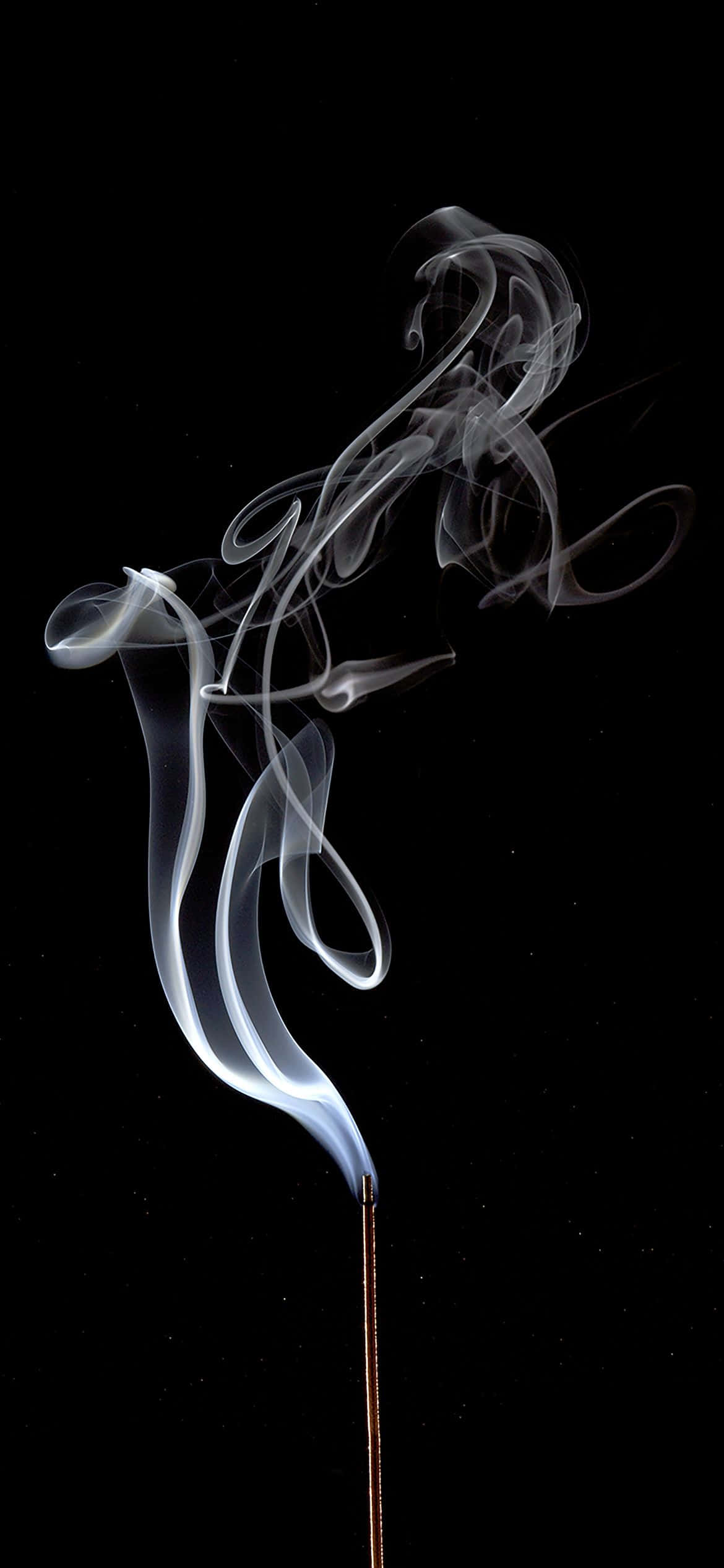 1170x2532 Puting Usok na Malikhaing Kuha Wallpaper