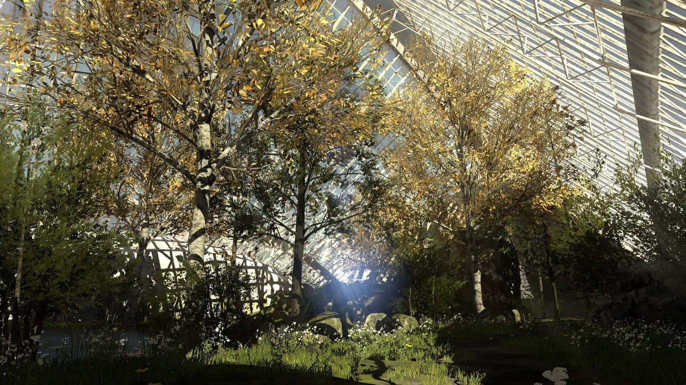 1366x768 The Talos Principle Gehenna Kagubatan Background Wallpaper