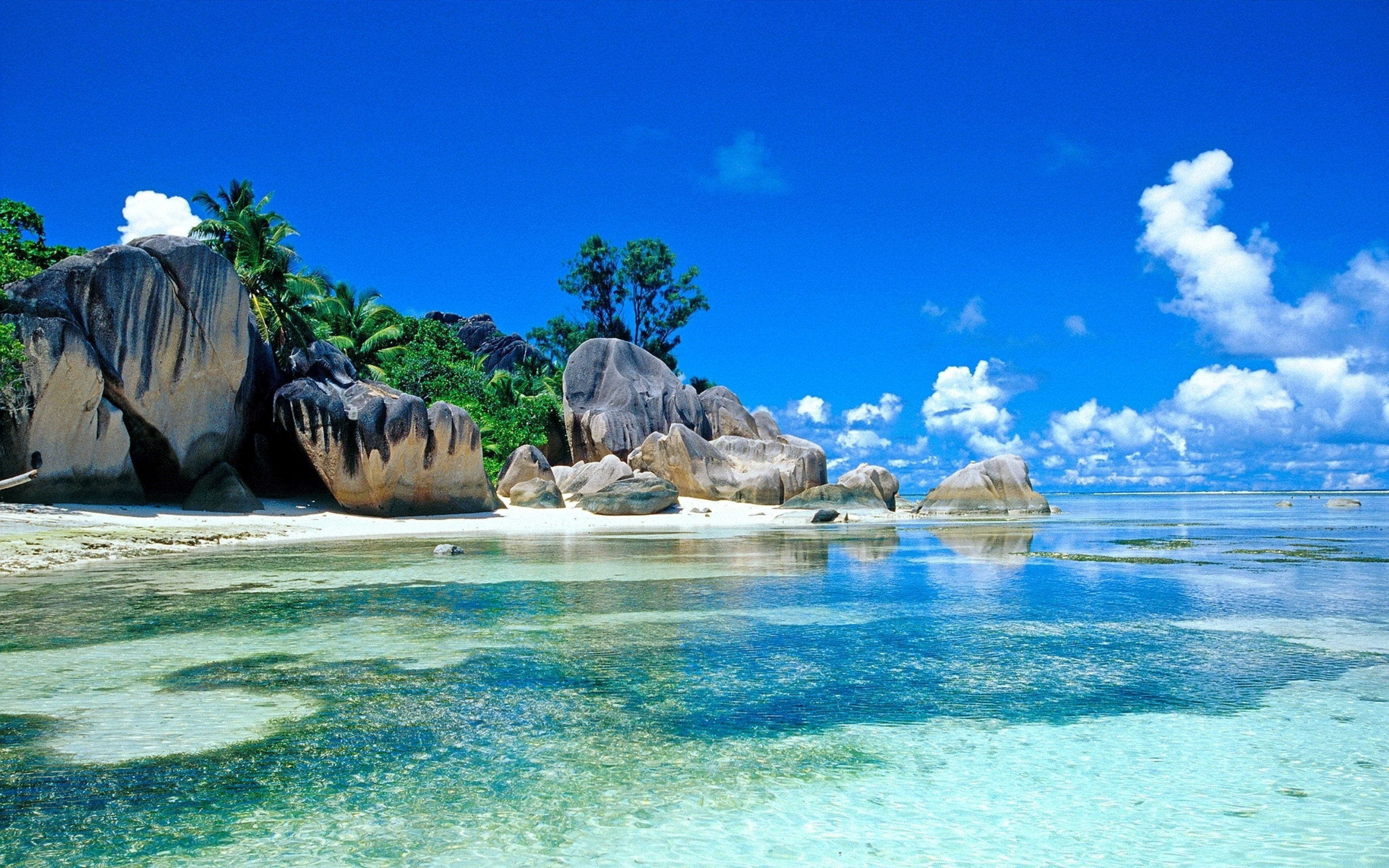 32K Ultra HD Kalikasan Beach Malinaw na Tubig Wallpaper