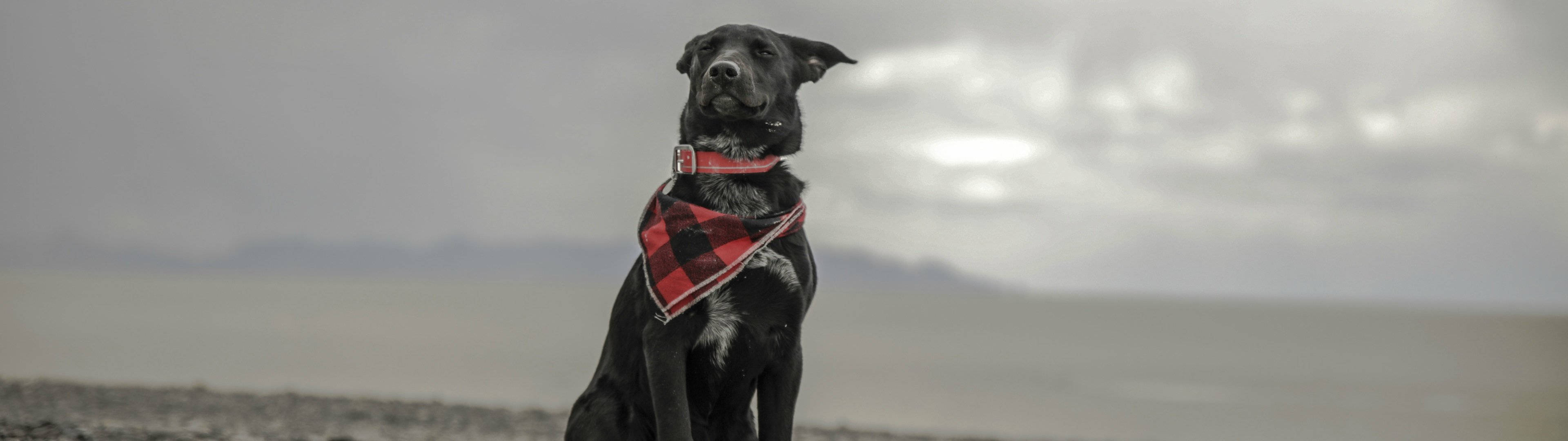 3840x1080 4K Aso na May Scarf Wallpaper
