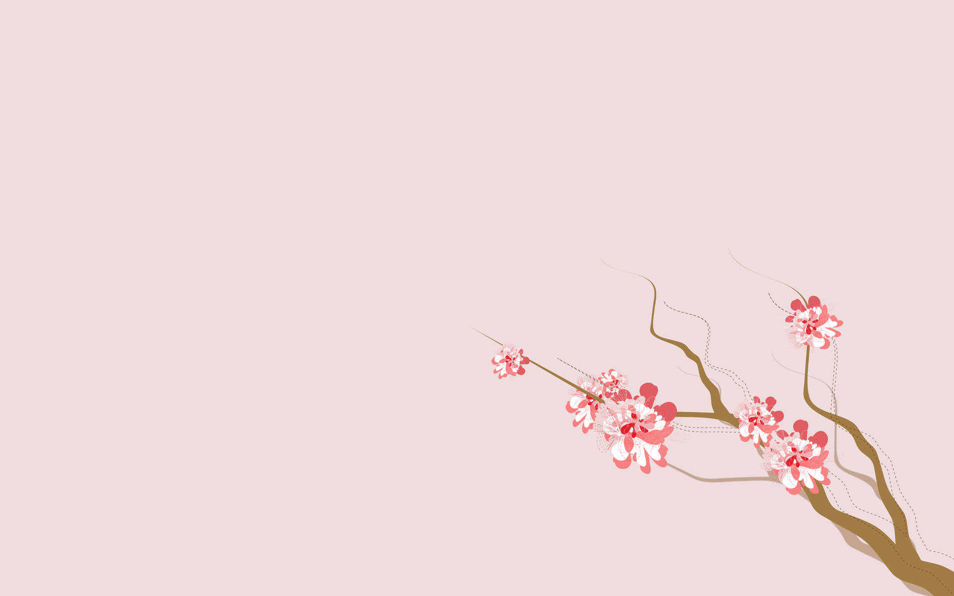 4K Kalikasan Bulaklak Sakura Wallpaper
