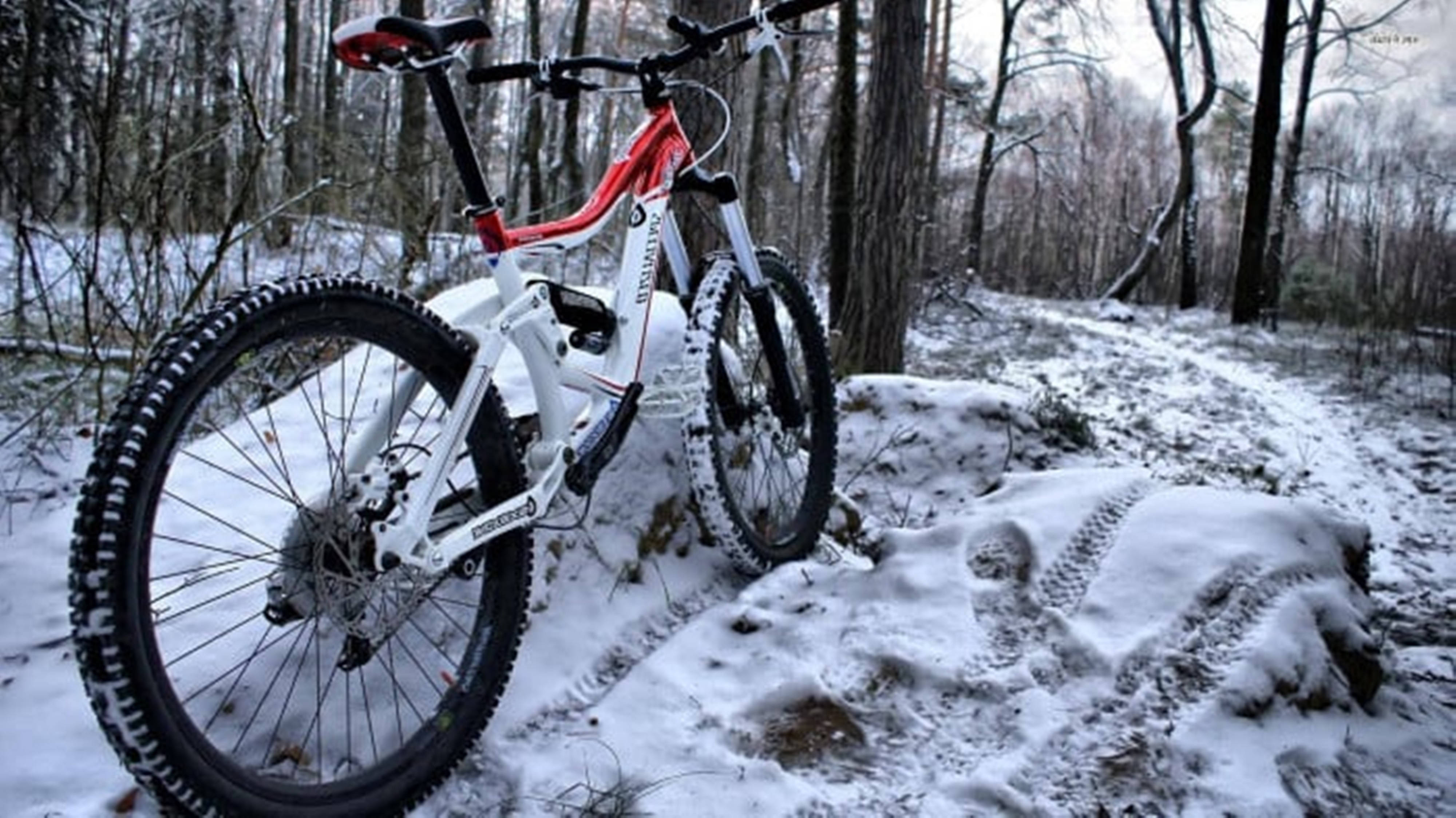 4K Mountain Bike Sa Niyebeng Kagubatan Wallpaper