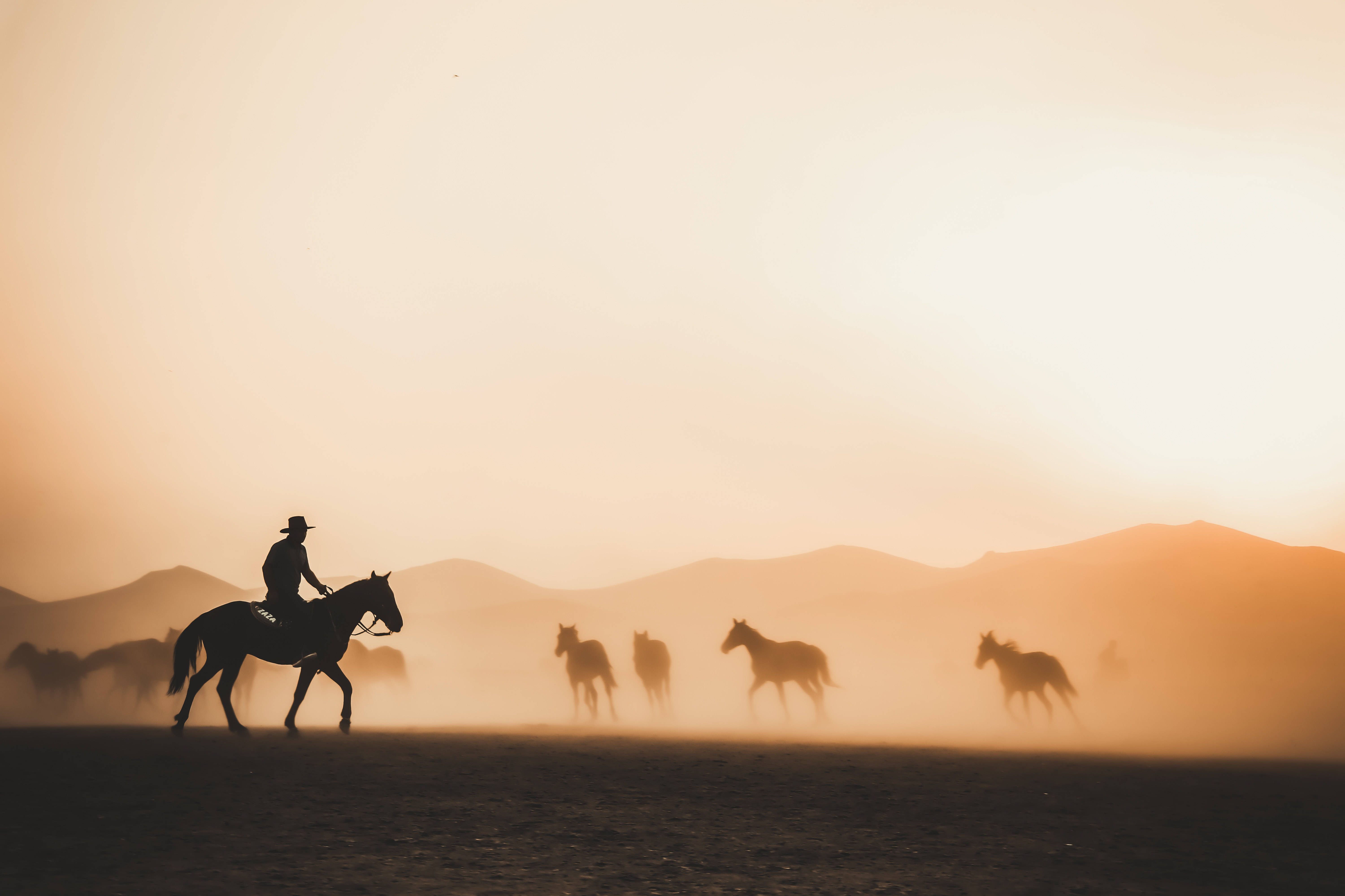 4K Tablet Cowboy na Nagpapaligid ng Mga Kabayo Wallpaper