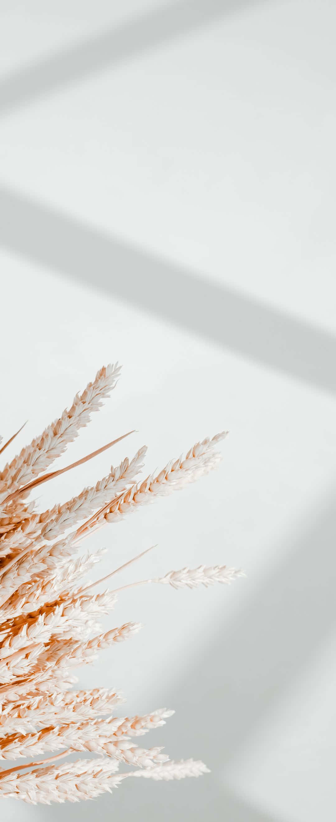4K Tanawin ng Siyudad na Kuha mula sa Isang Drone Wallpaper