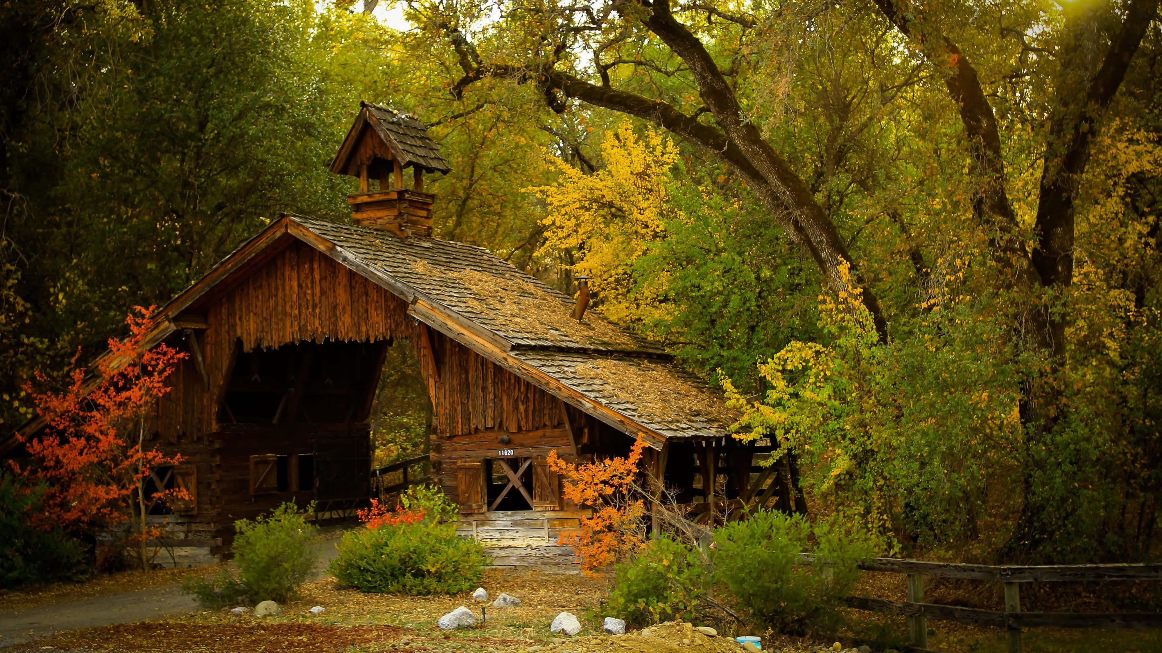 4K UHD Maliit na Bahay sa Kagubatan Wallpaper
