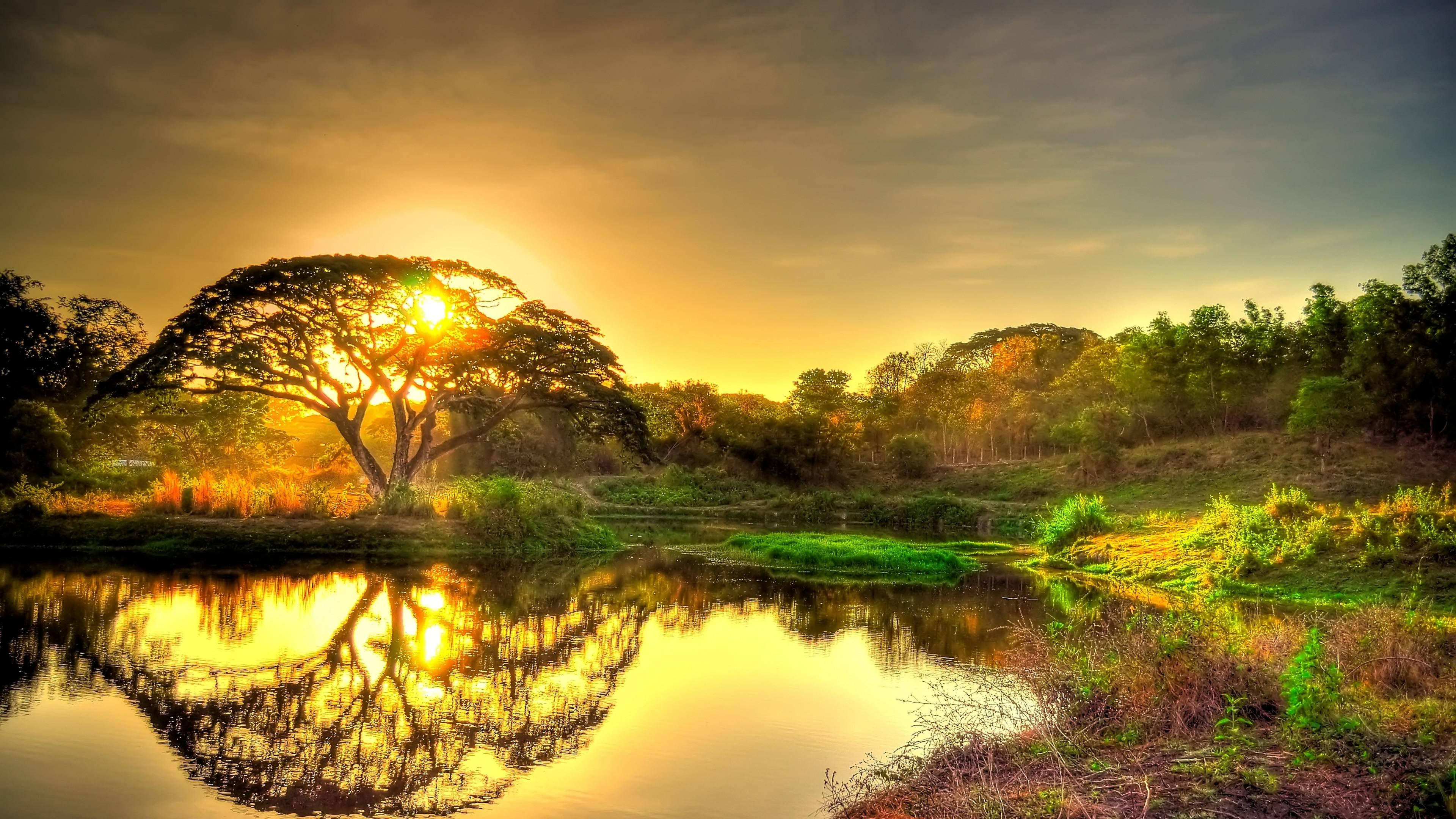 4K Ultra HD 2160p Ginintuang Pagsikat ng Araw Wallpaper