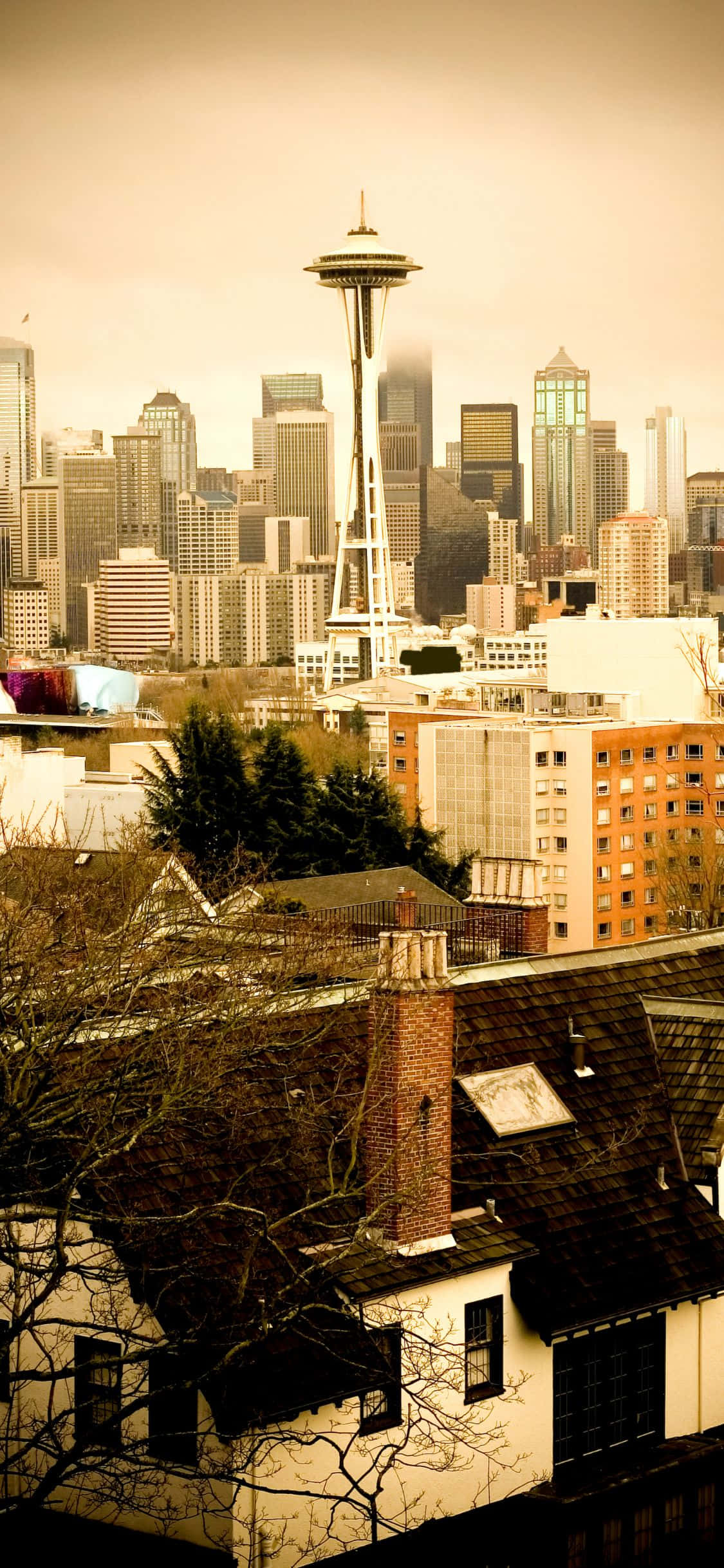 isang siyudad na may space needle Wallpaper