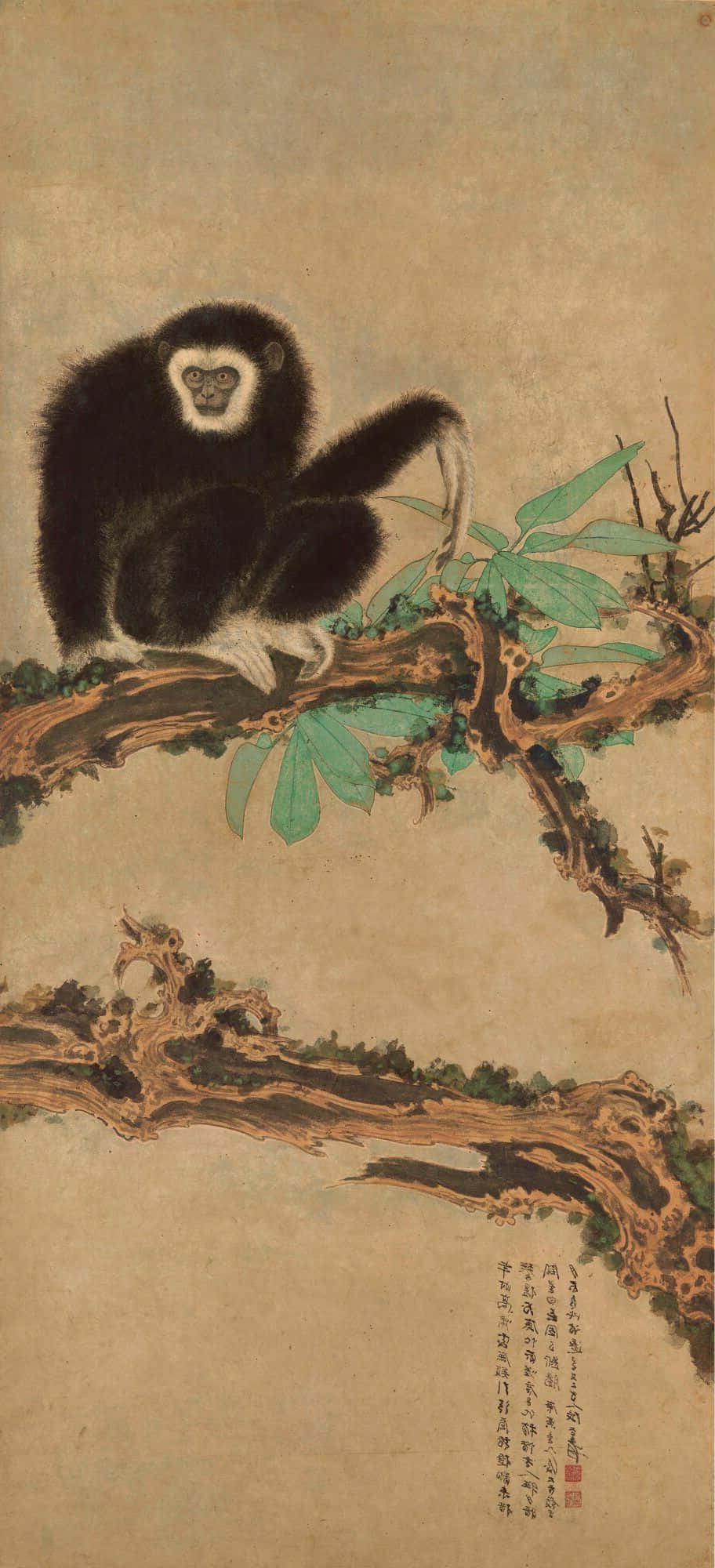 A Gibbon Sits on a Branched Android Wallpaper