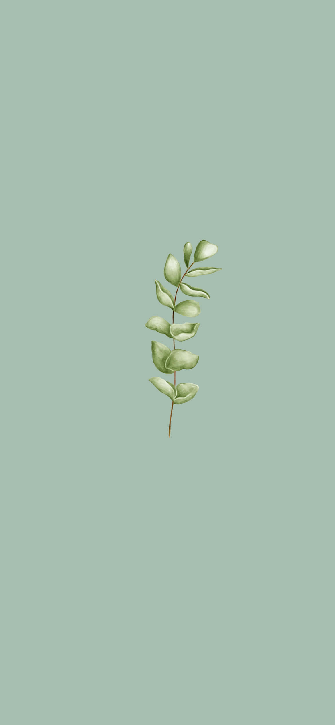 isang berdeng dahon sa isang asul na likuran Wallpaper