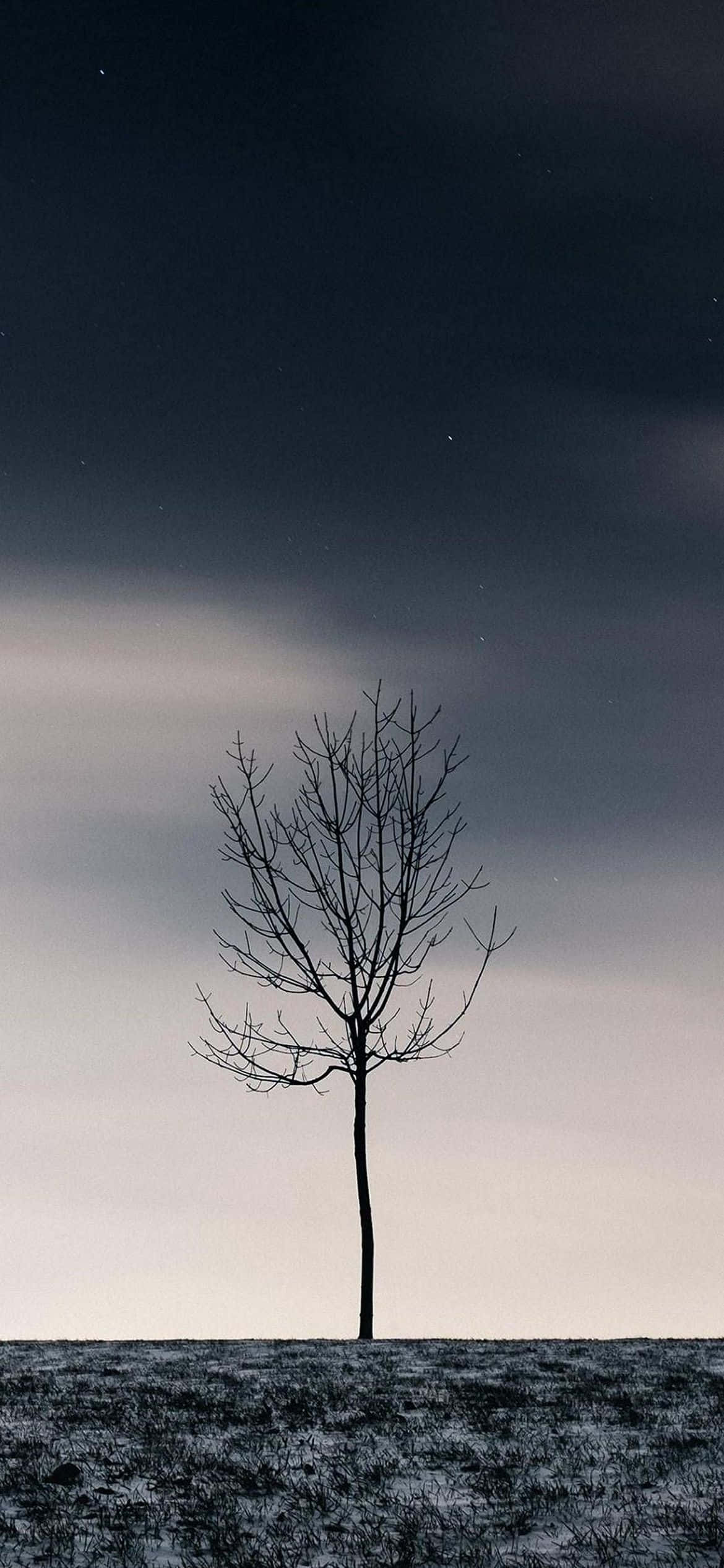 isang nag-iisang puno sa gitna ng isang field Wallpaper