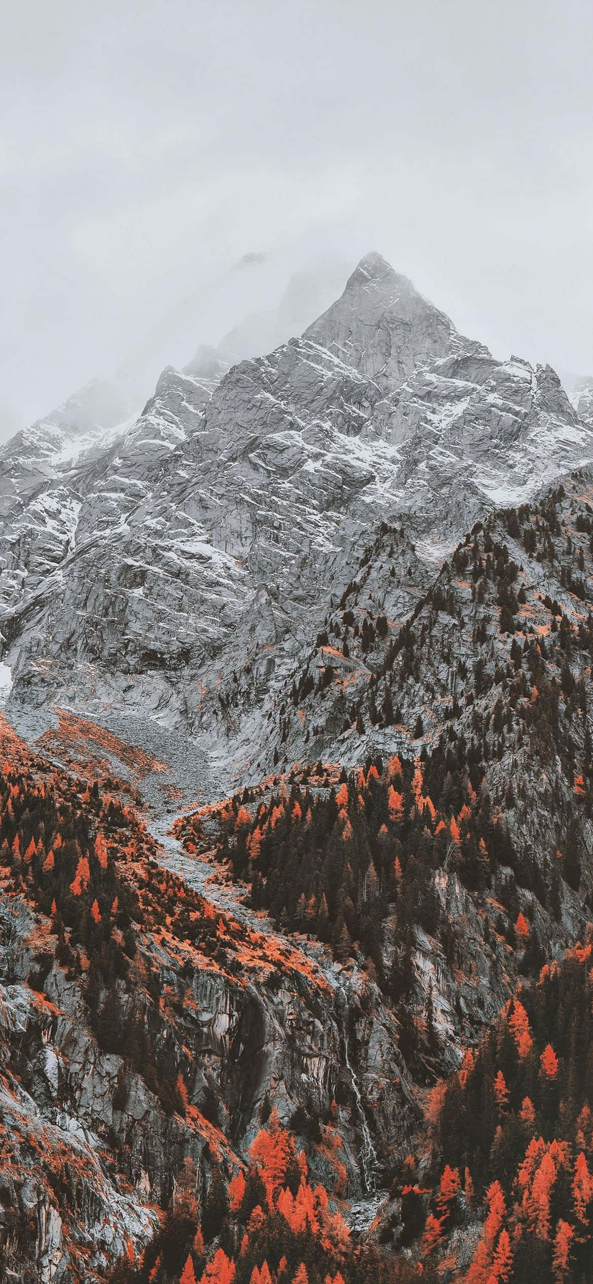 a mountain range with red trees and a mountain Wallpaper