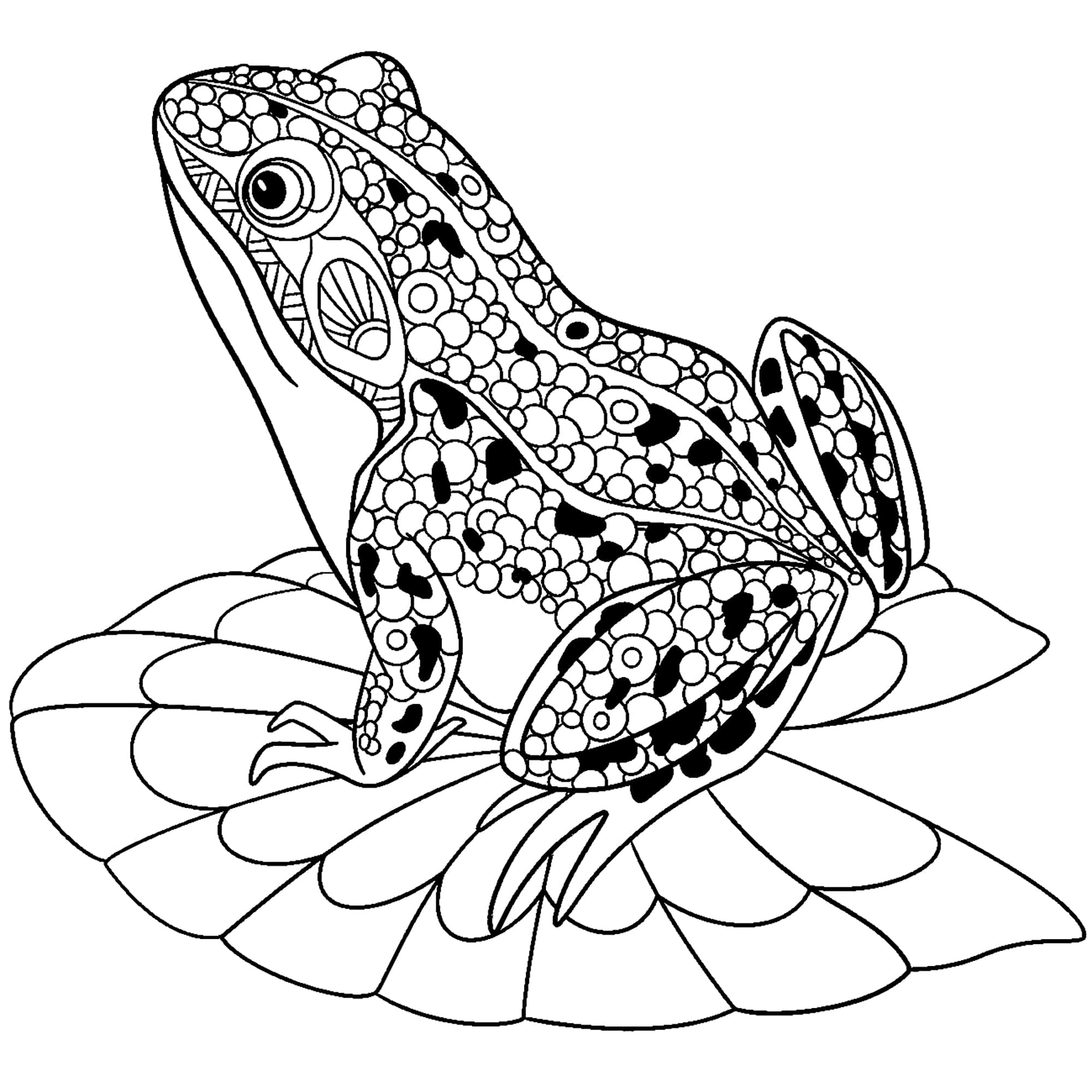Isang kakaibang handdrawn na palaka Wallpaper