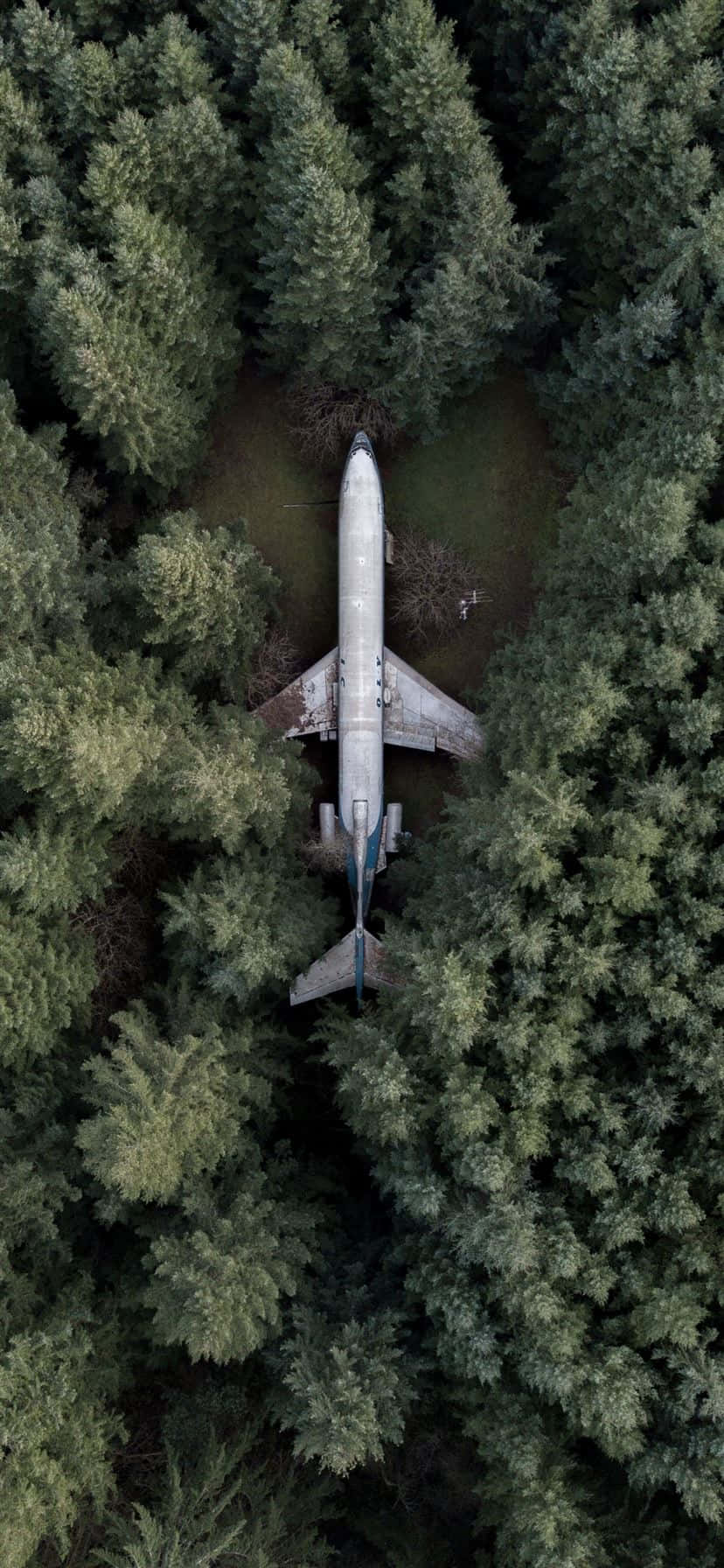 A white airplane in flight against a blue sky background on an iPhone. Wallpaper