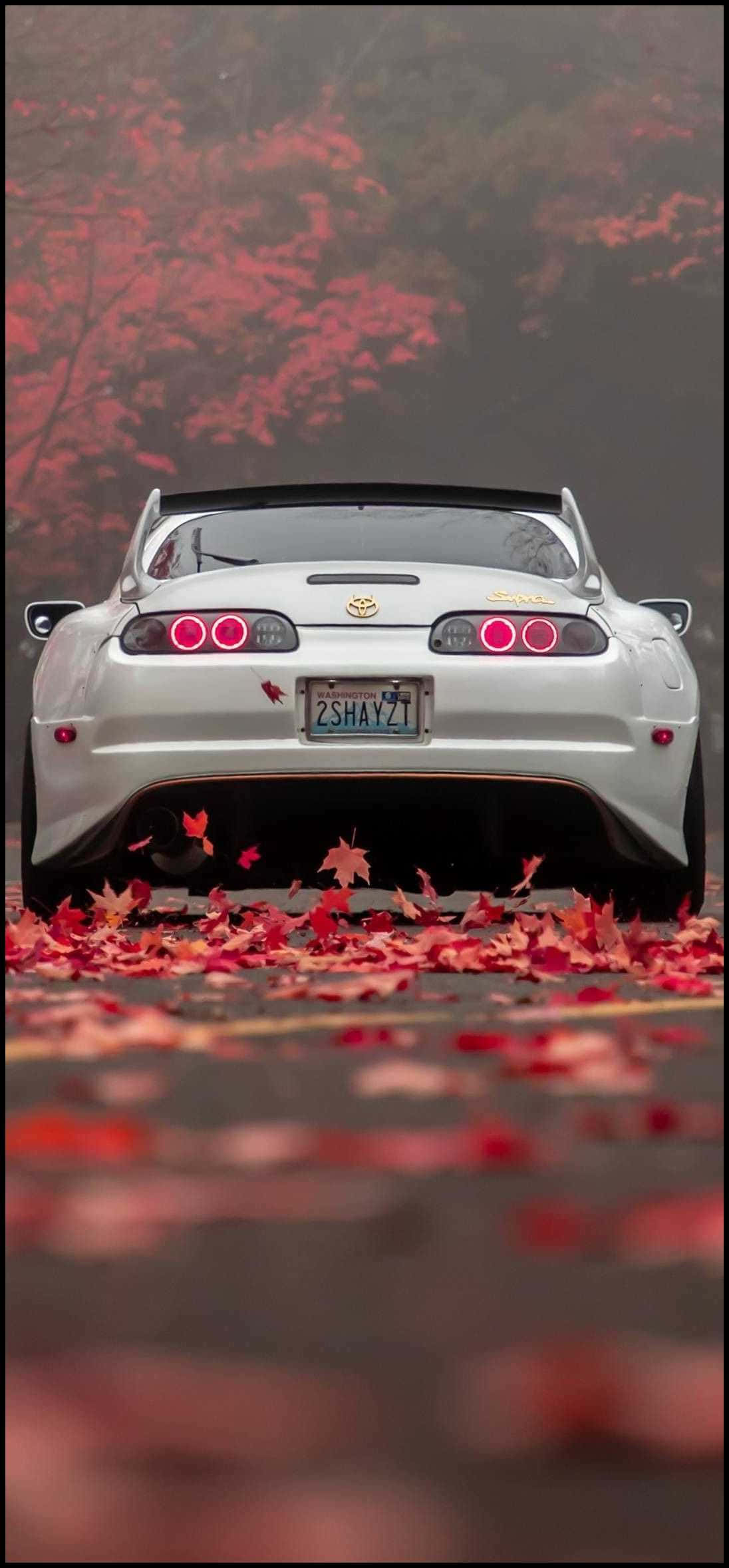 isang puting sports car ang naka-park sa gitna ng isang field ng mga dahon Wallpaper