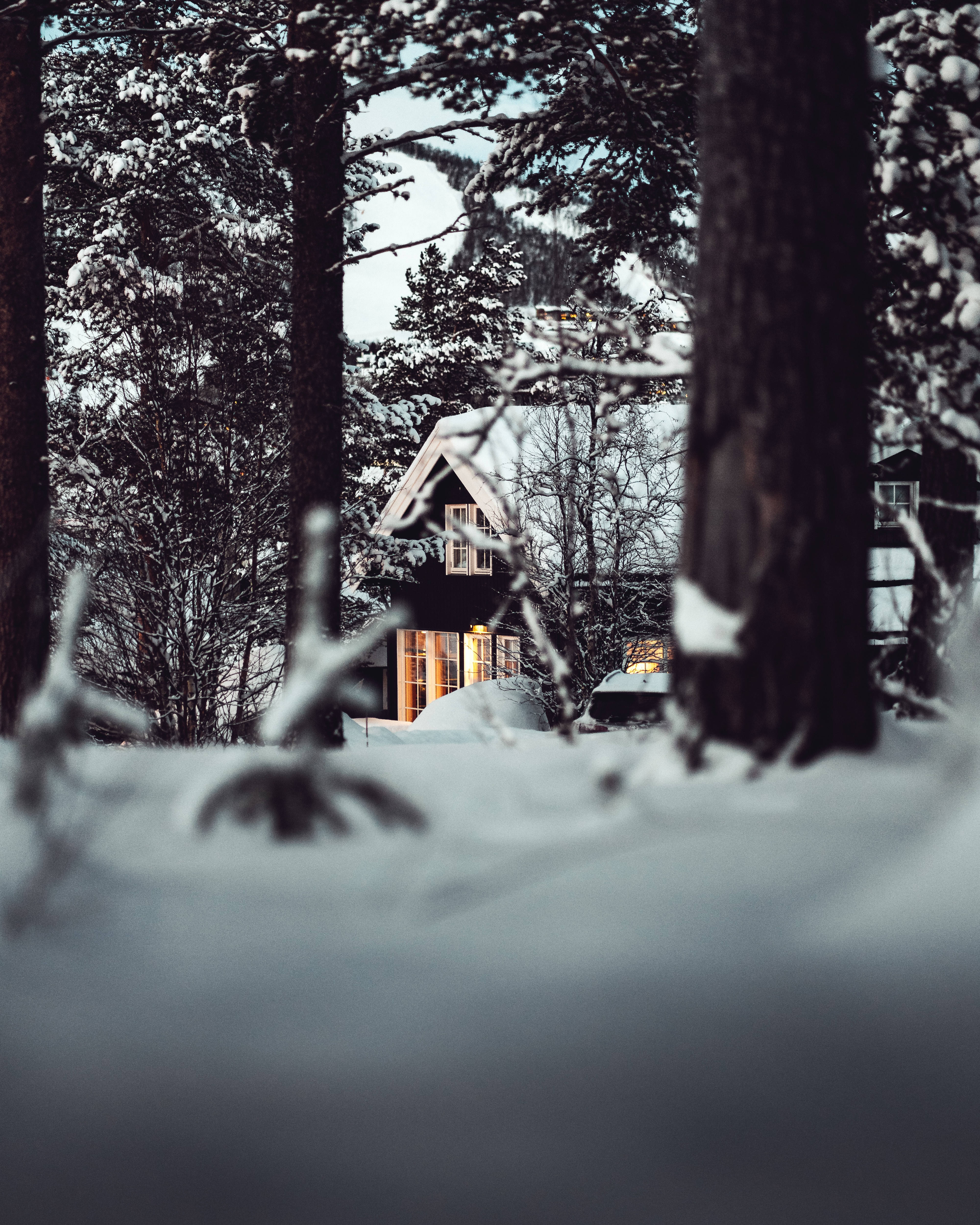 “A winter wonderland” Wallpaper