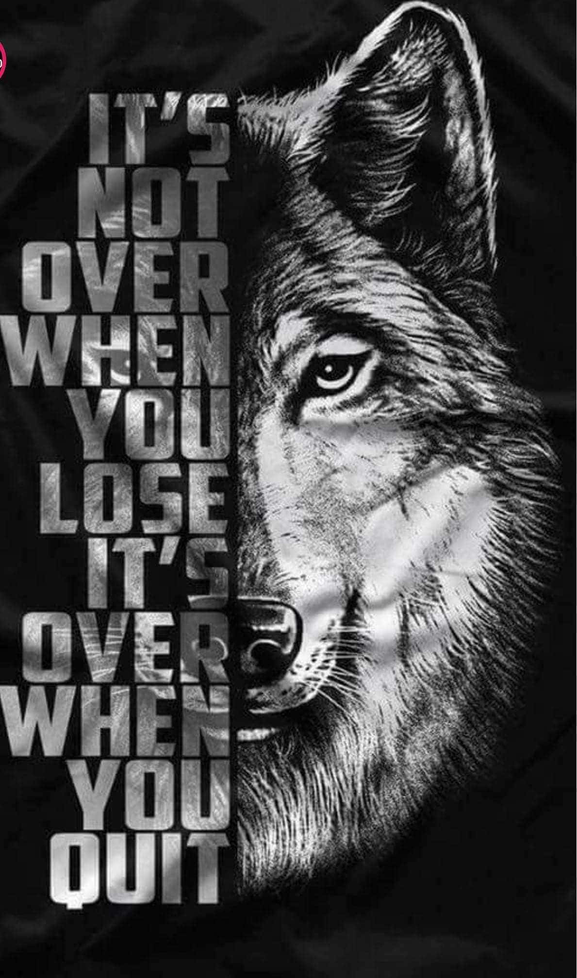 Abstract Art ng Isang Astig na Lobo Wallpaper