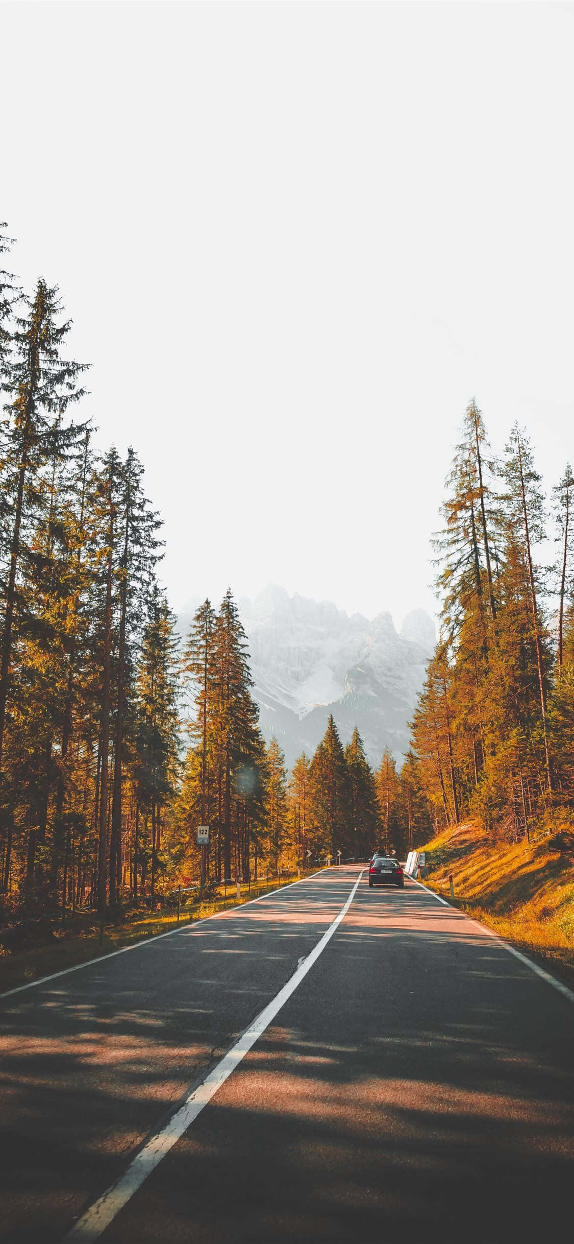 Aesthetic Autumn Road Outside Background Wallpaper