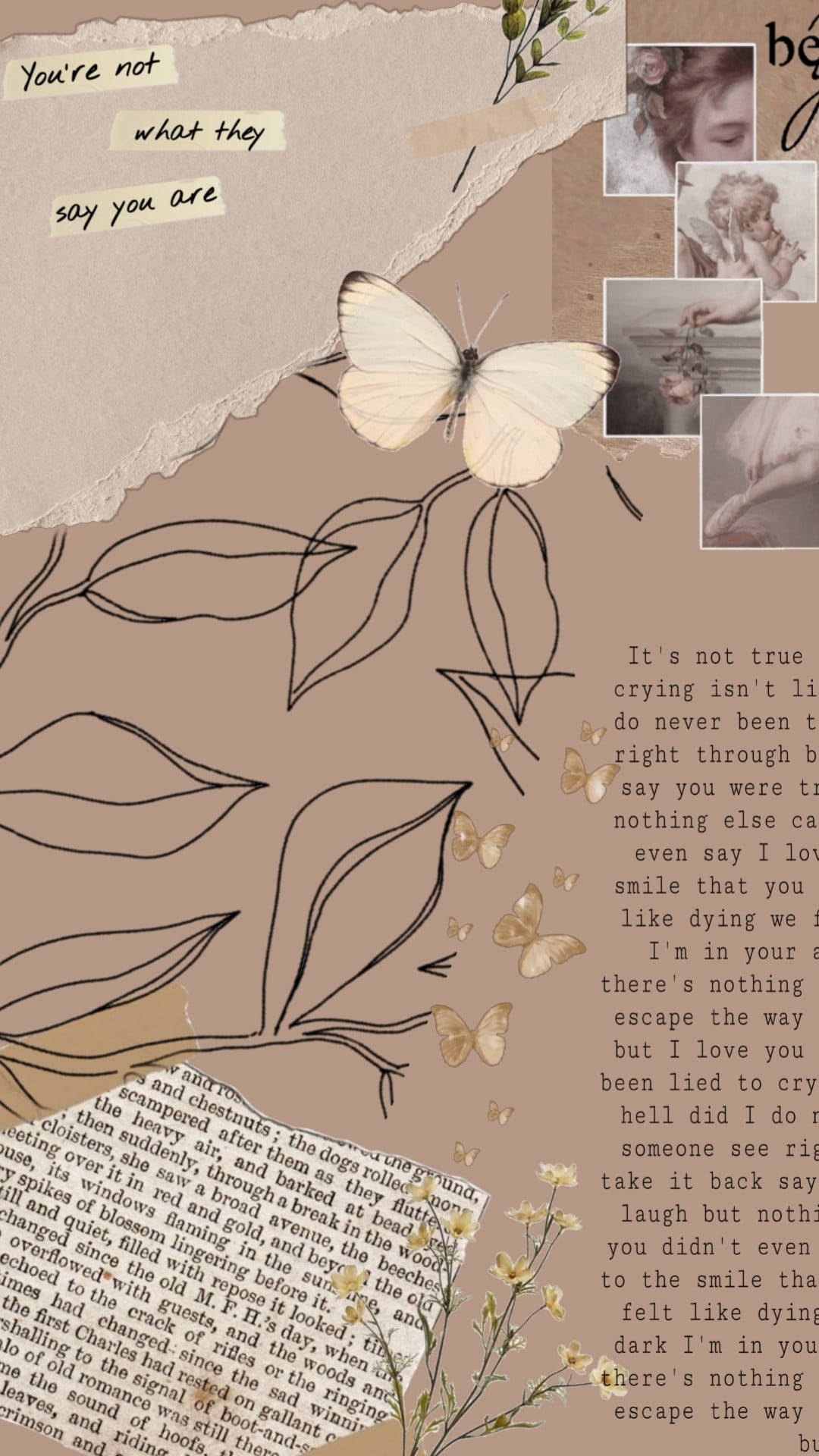 Aesthetic Brown Book at Butterfly Wallpaper