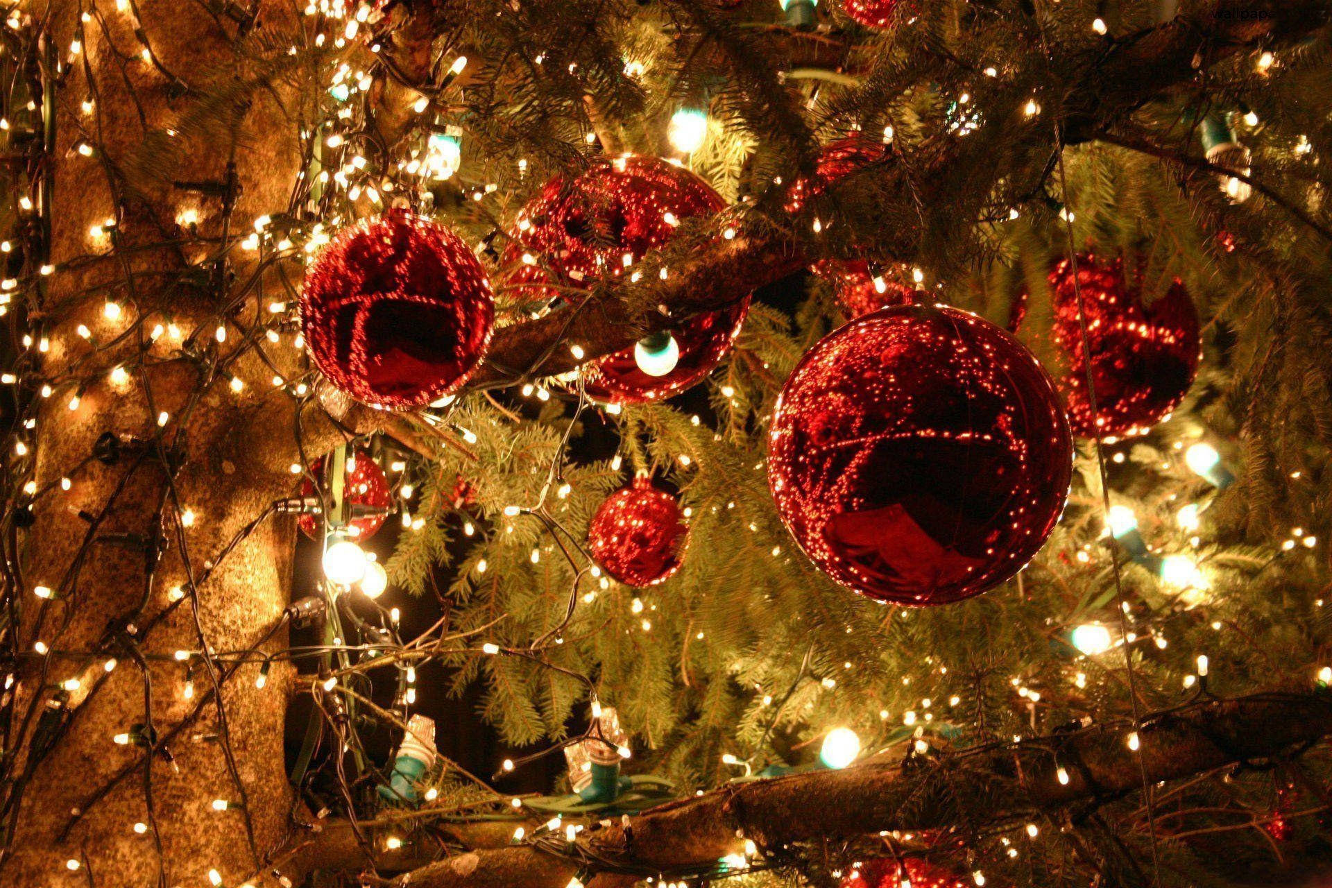 Aesthetic Christmas Tree na May Makukulay na Ilaw Wallpaper