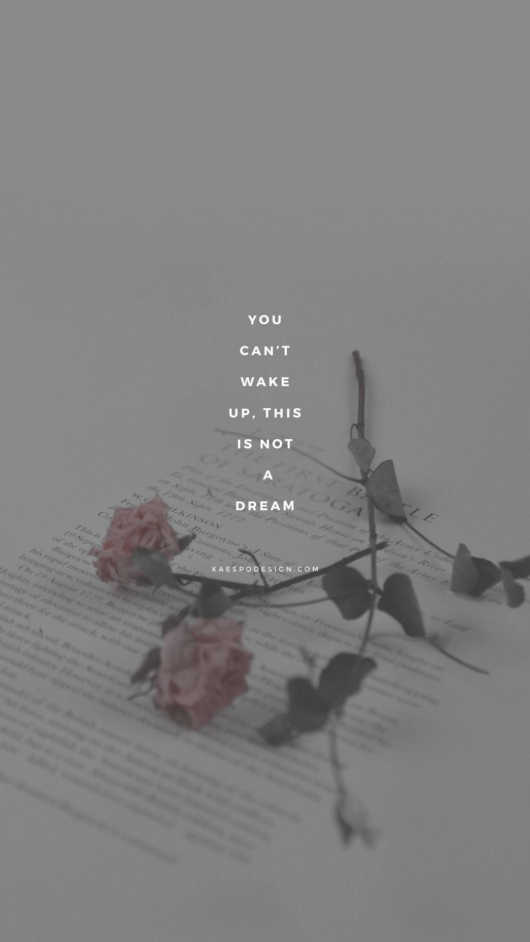 Aesthetic Gray Rose Sa Papel Wallpaper