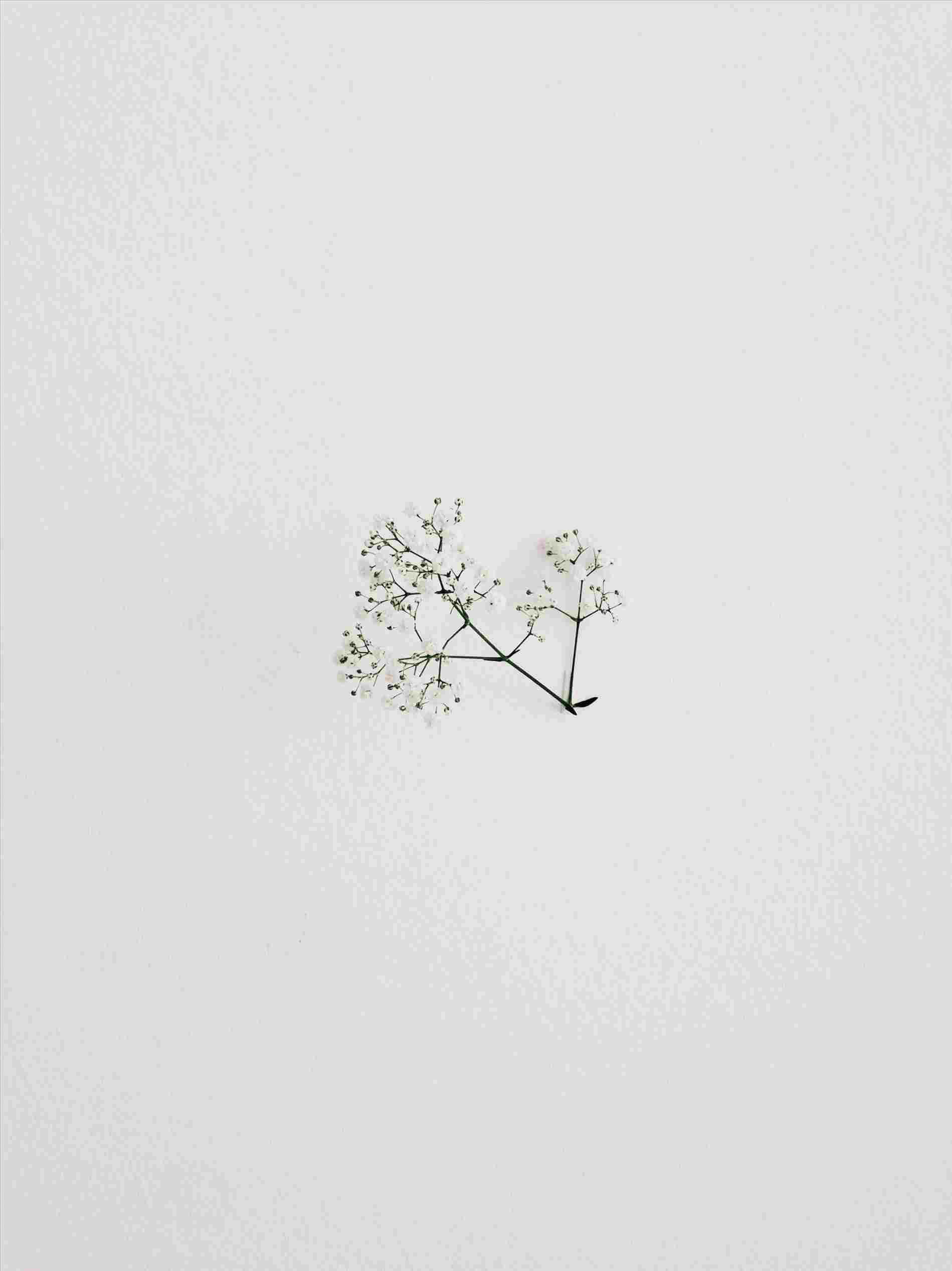 Aesthetic minimalist background na may soft pastel gradient ng asul at rosas. Wallpaper