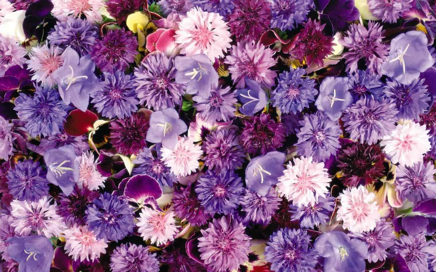 Aesthetic na Background ng Bulaklak Wallpaper