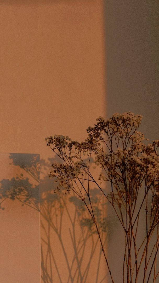 Aesthetic na Banayad na Kayumangging Bush na May Puting Bulaklak Wallpaper