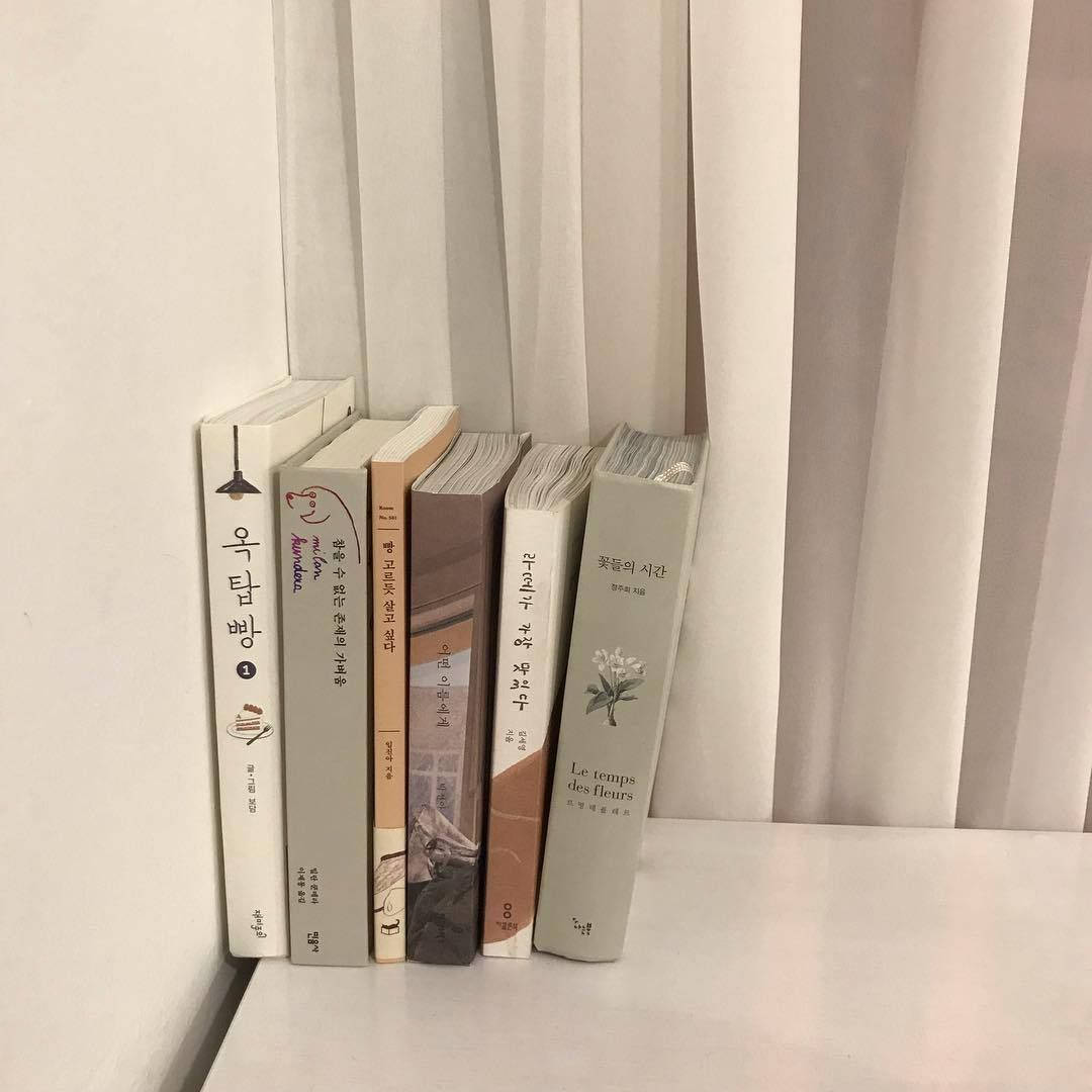 Aesthetic na Beige na Korean Books Wallpaper