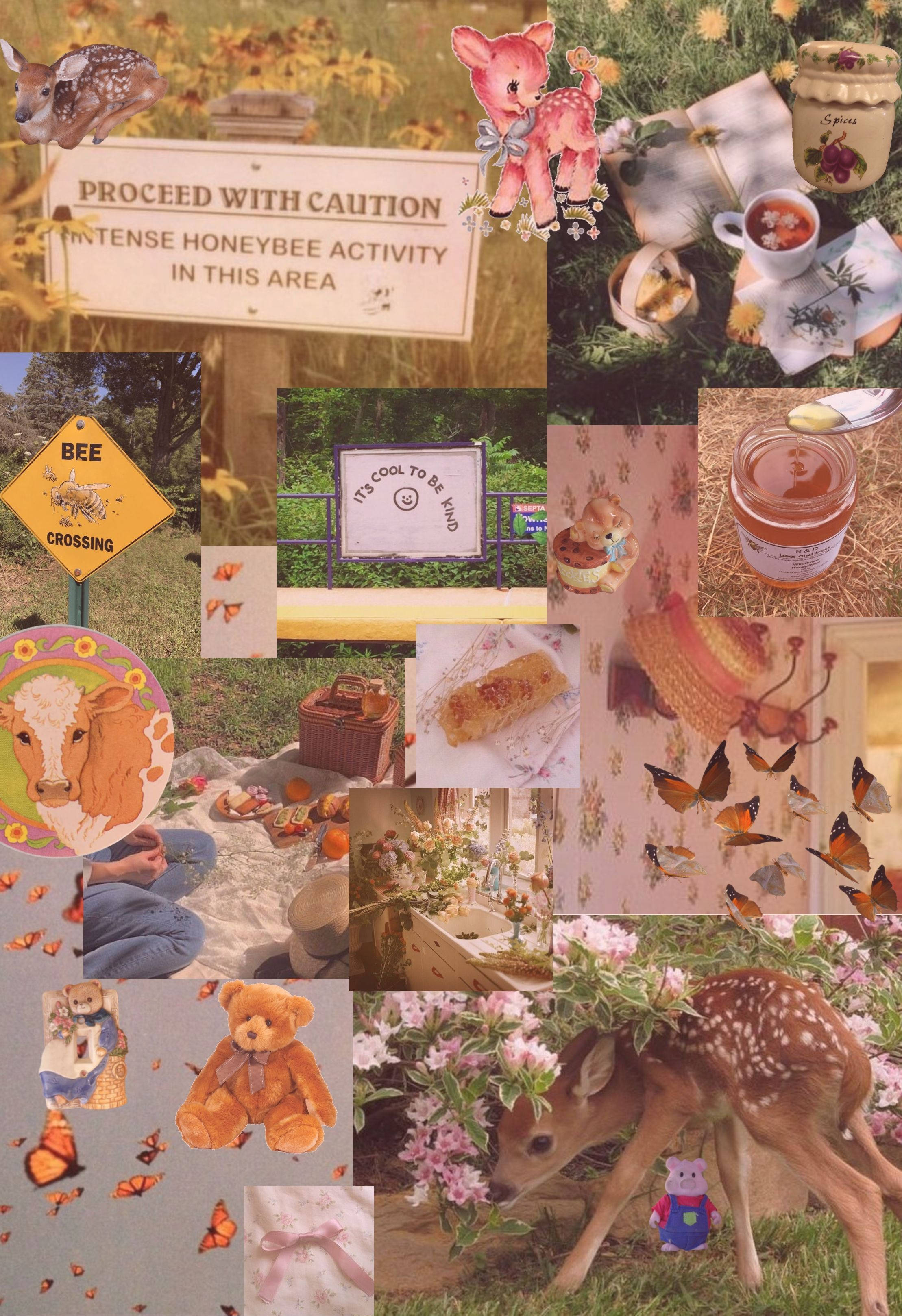 Aesthetic na Chromebook Cottagecore Wallpaper