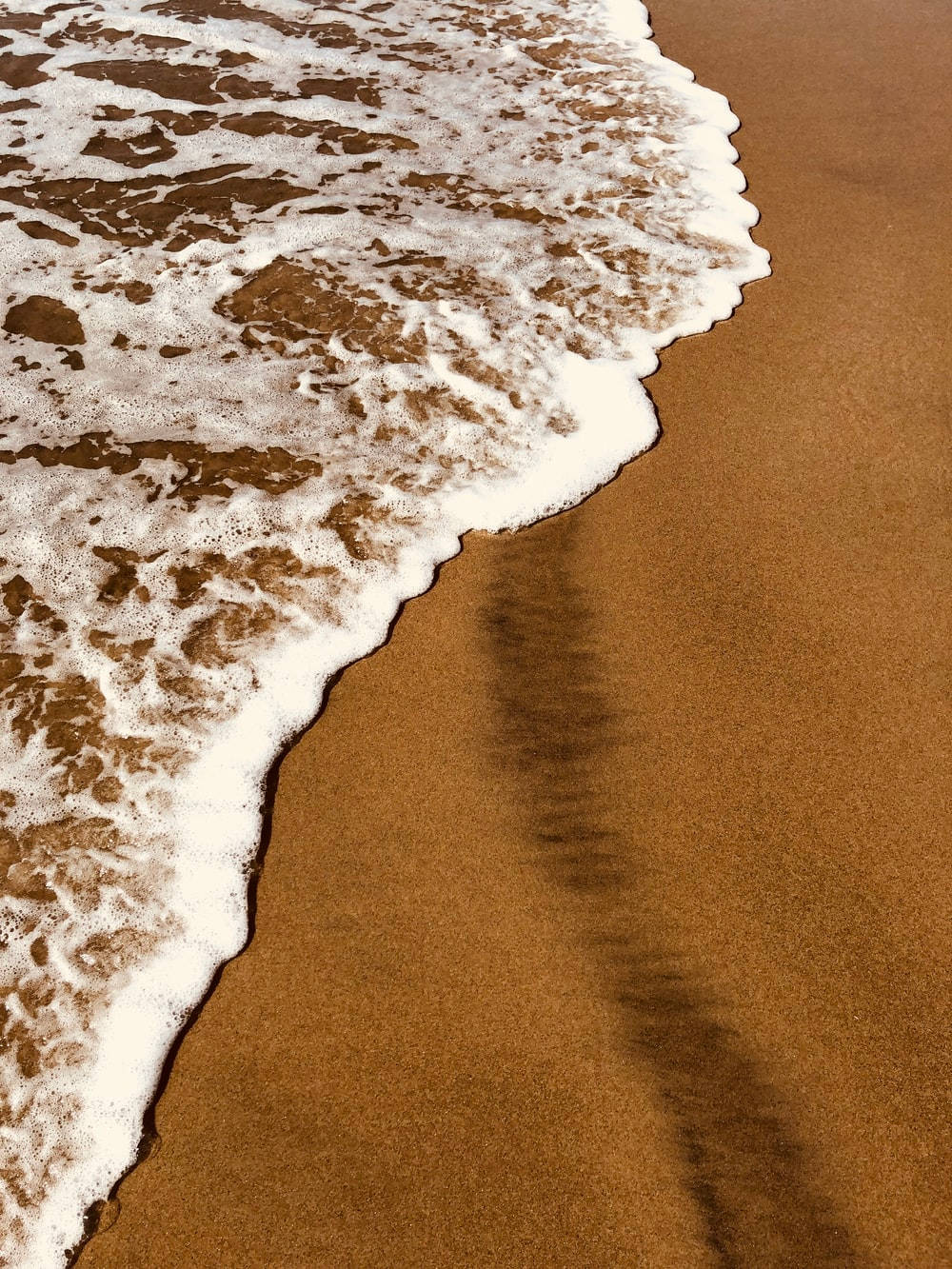 Aesthetic na Dalampasigan na Kulay Light Brown Wallpaper