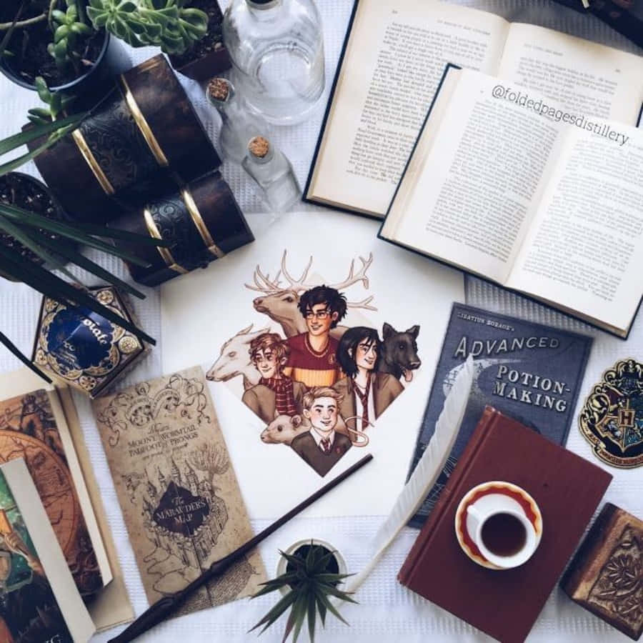 Aesthetic na Display ng Bintana ng mga Memorabilia ng Harry Potter Wallpaper