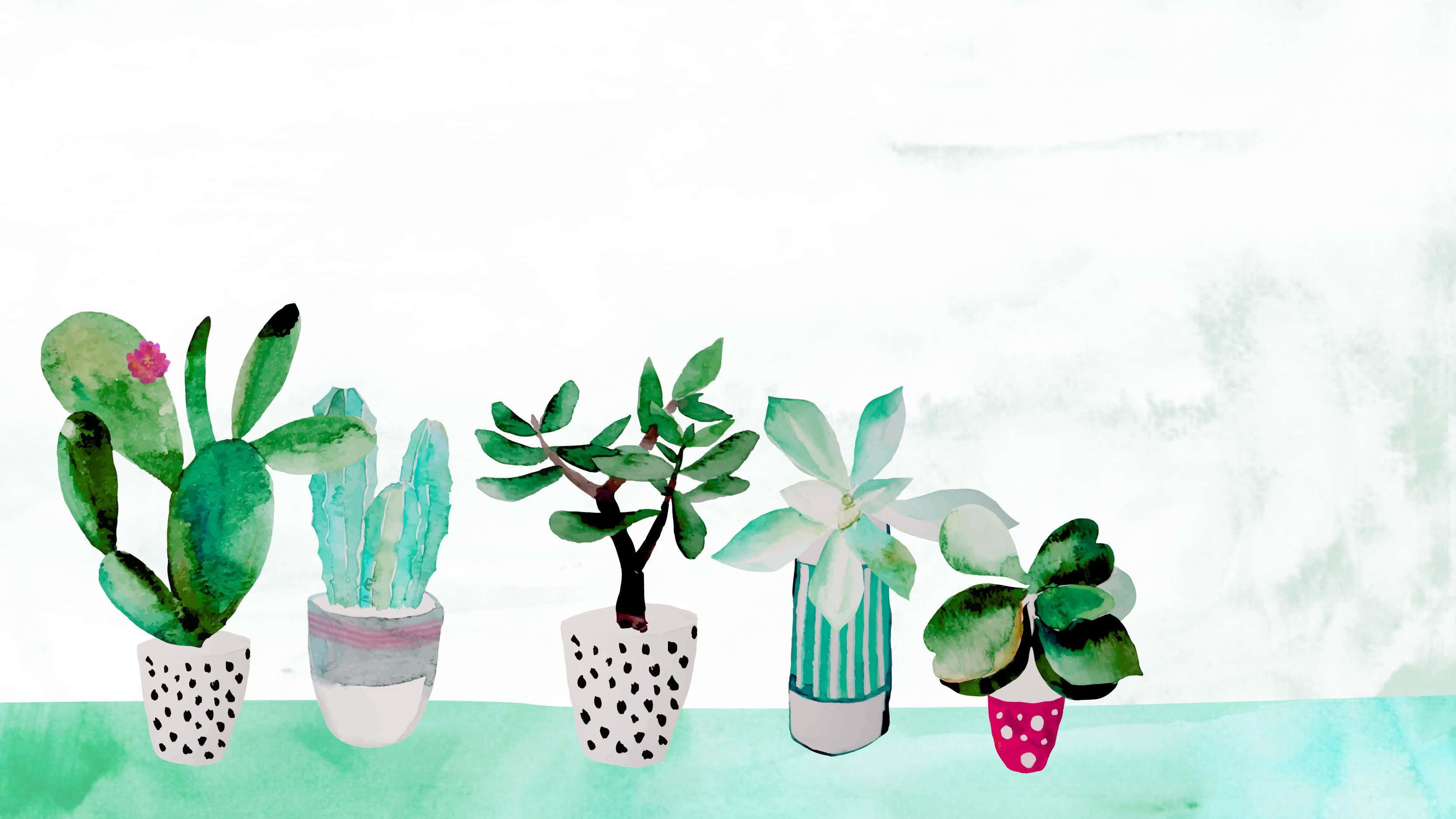 Aesthetic na Guhit ng Cactus Wallpaper