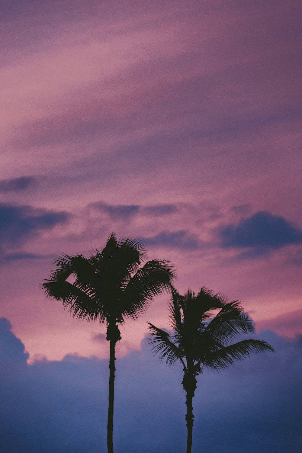 Aesthetic na Light Purple na Mga Puno ng Palma Wallpaper