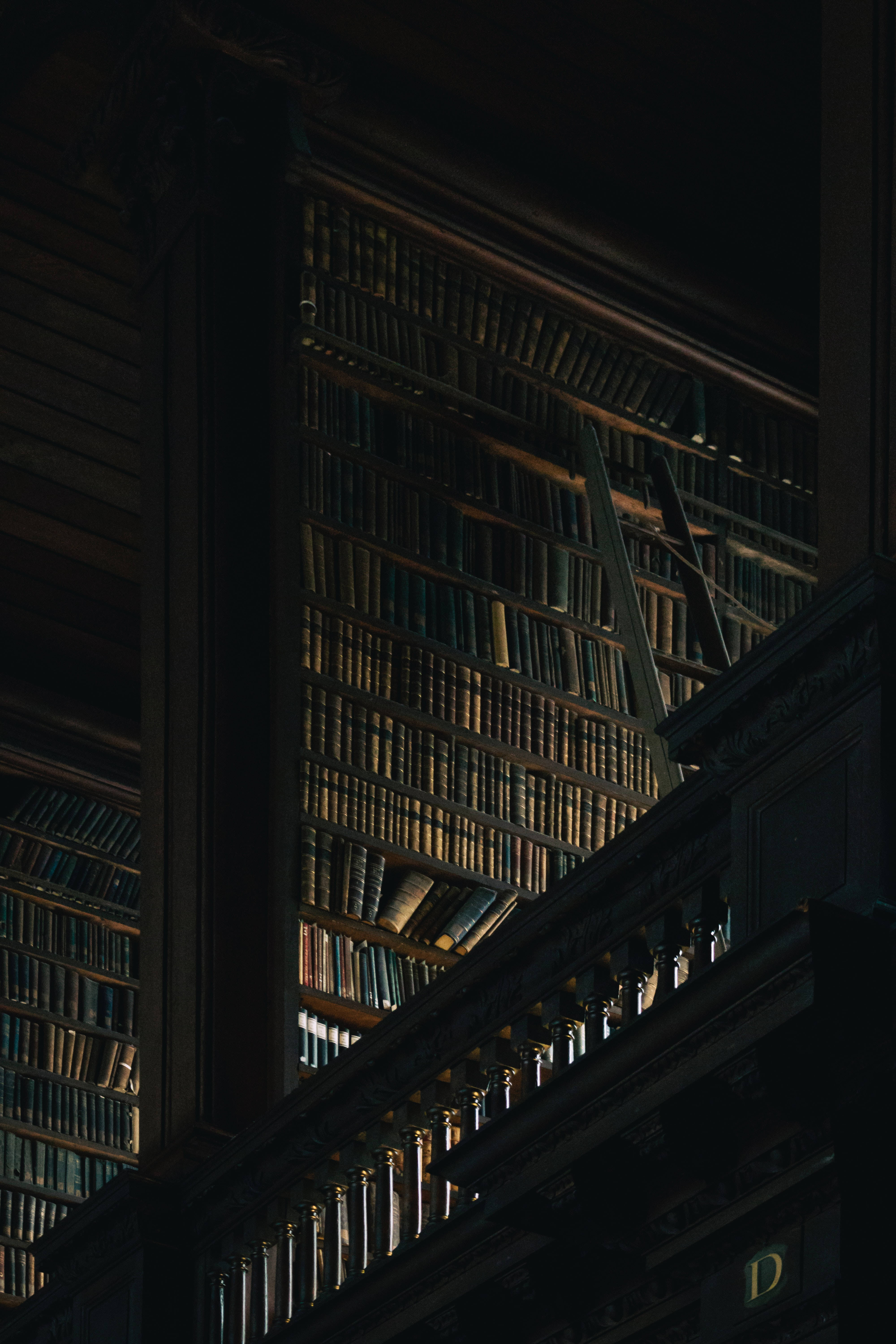 Aesthetic na Madilim na Aklatan Wallpaper