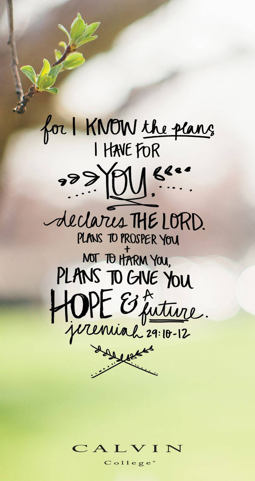 Aesthetic na Mobile Background na may Bible Verse Wallpaper