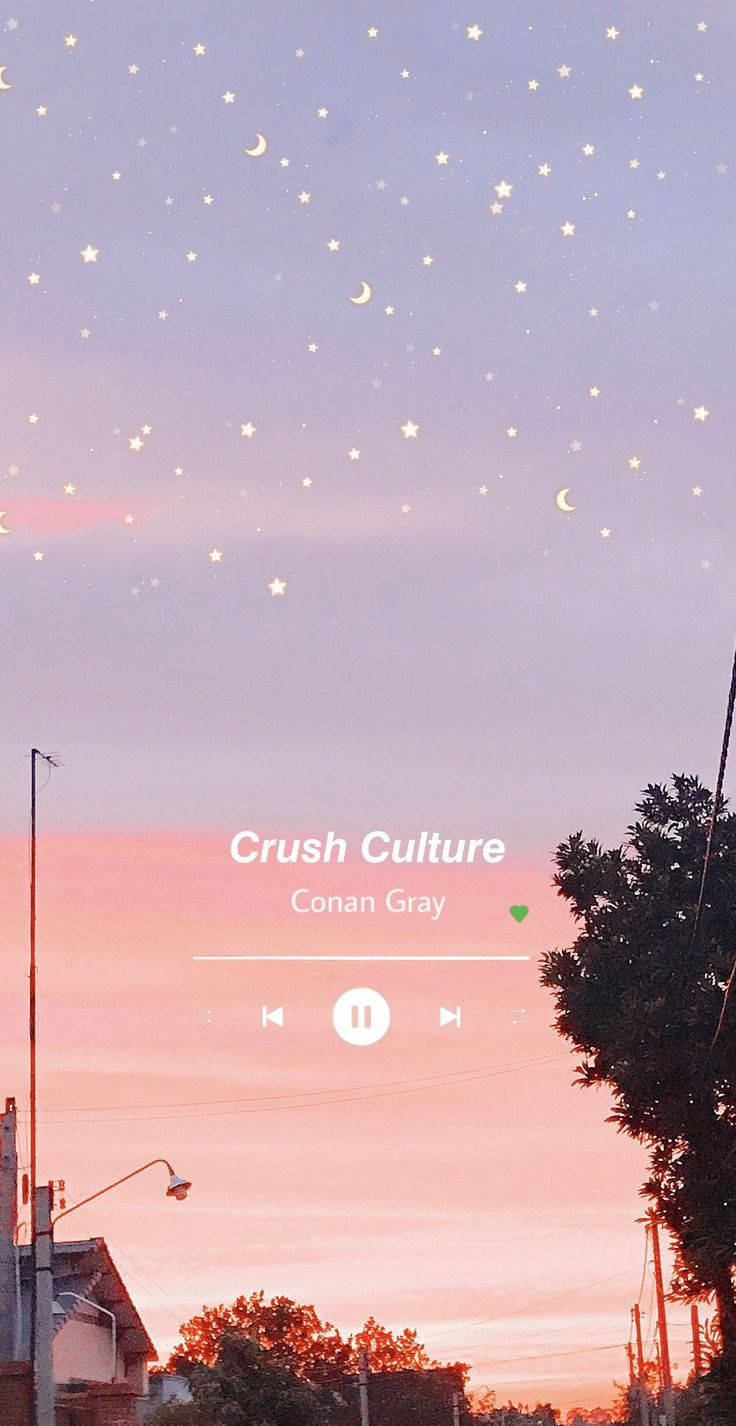 Aesthetic na Musika ni Conan Gray Wallpaper