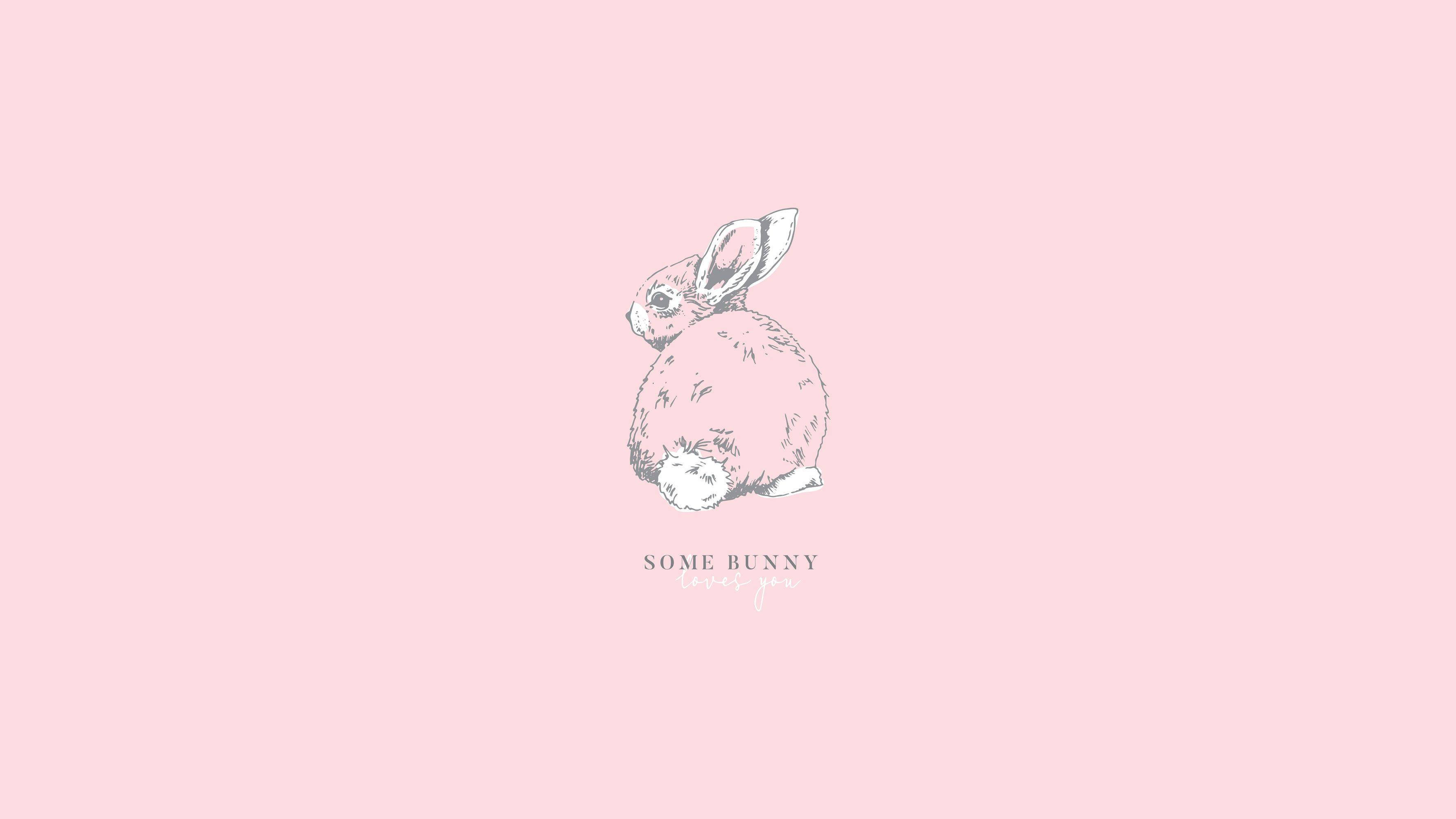 Aesthetic na Pabalat na Kuneho Wallpaper