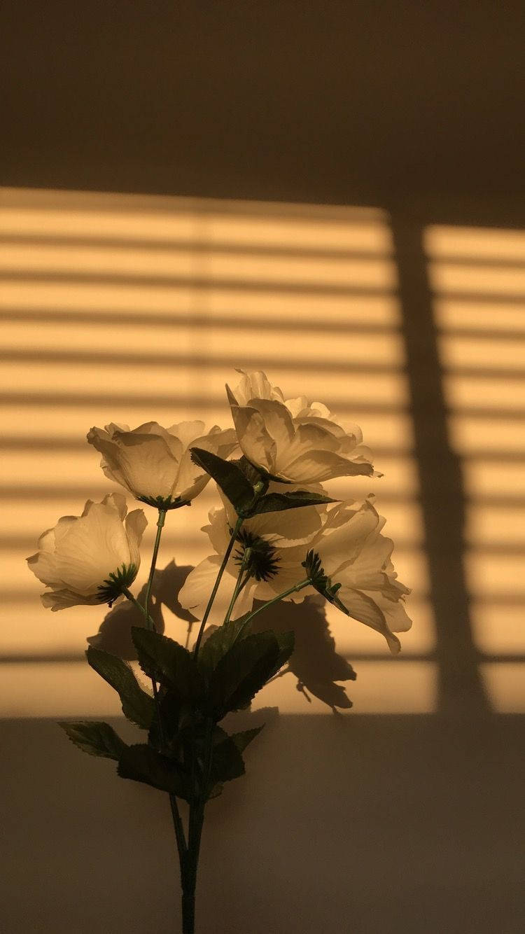 Aesthetic na Paghahalo ng Kalikasan at Elegansya Wallpaper