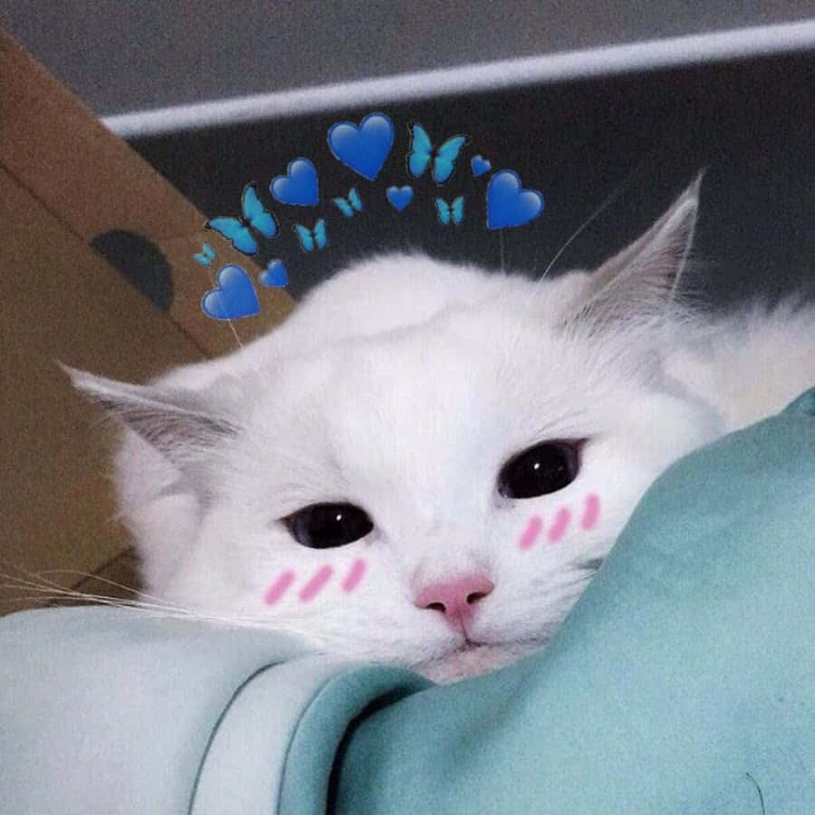 Aesthetic na Pusa na Nananaginip ng Pastel Pink Wallpaper