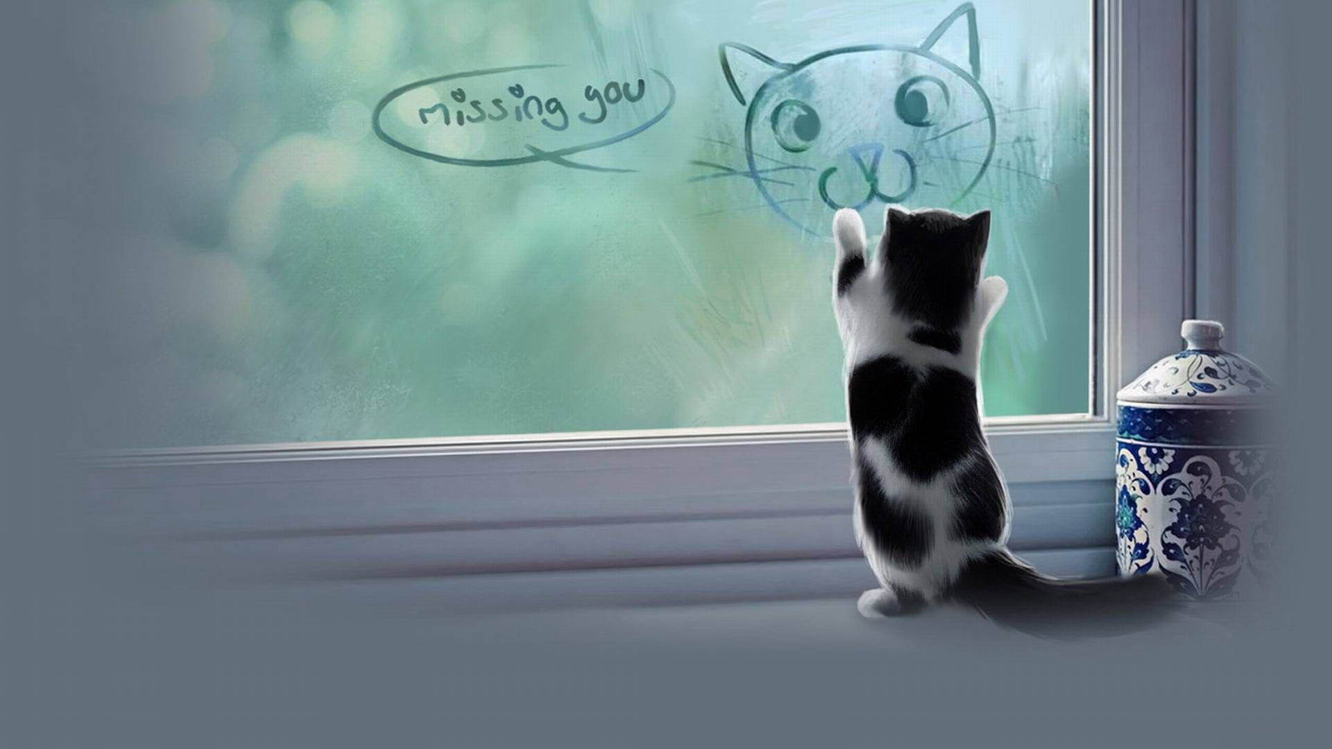 Aesthetic na Pusa sa Bintana Wallpaper