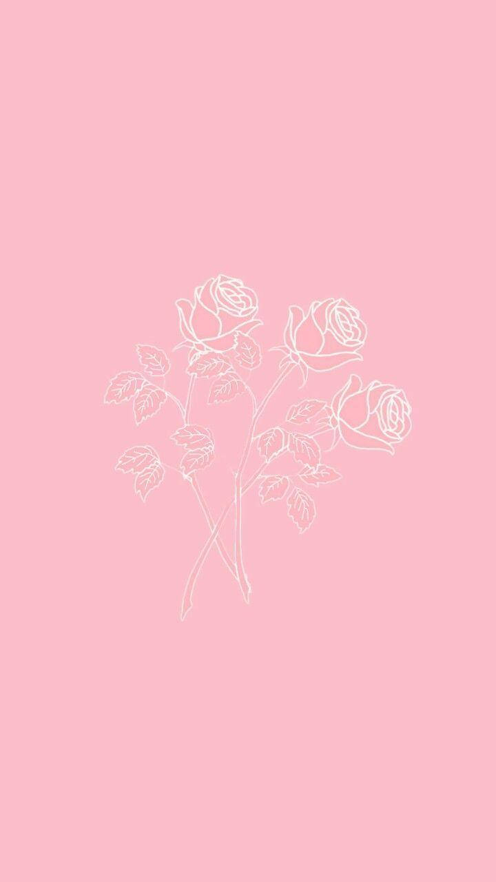 Aesthetic na Rosas na Pink para sa iPhone Wallpaper