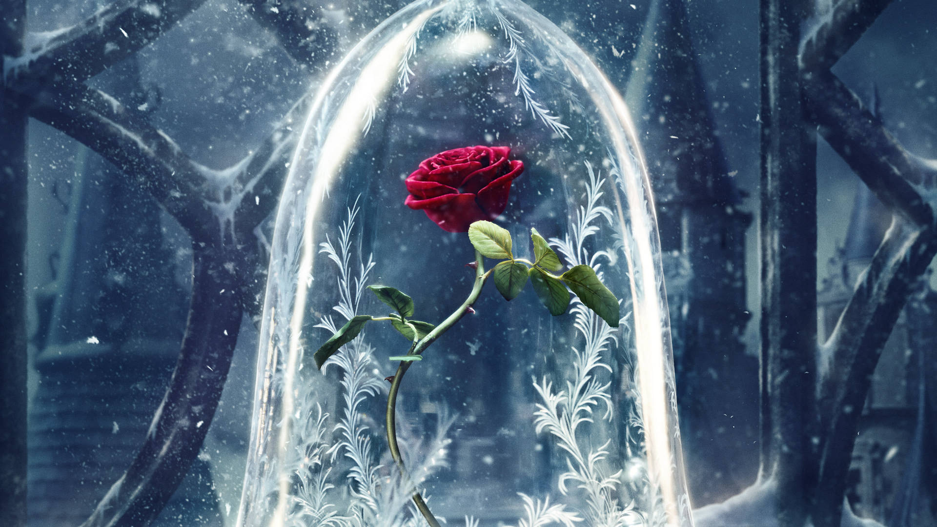 Aesthetic na Rosas sa Frosted Glass Dome Wallpaper