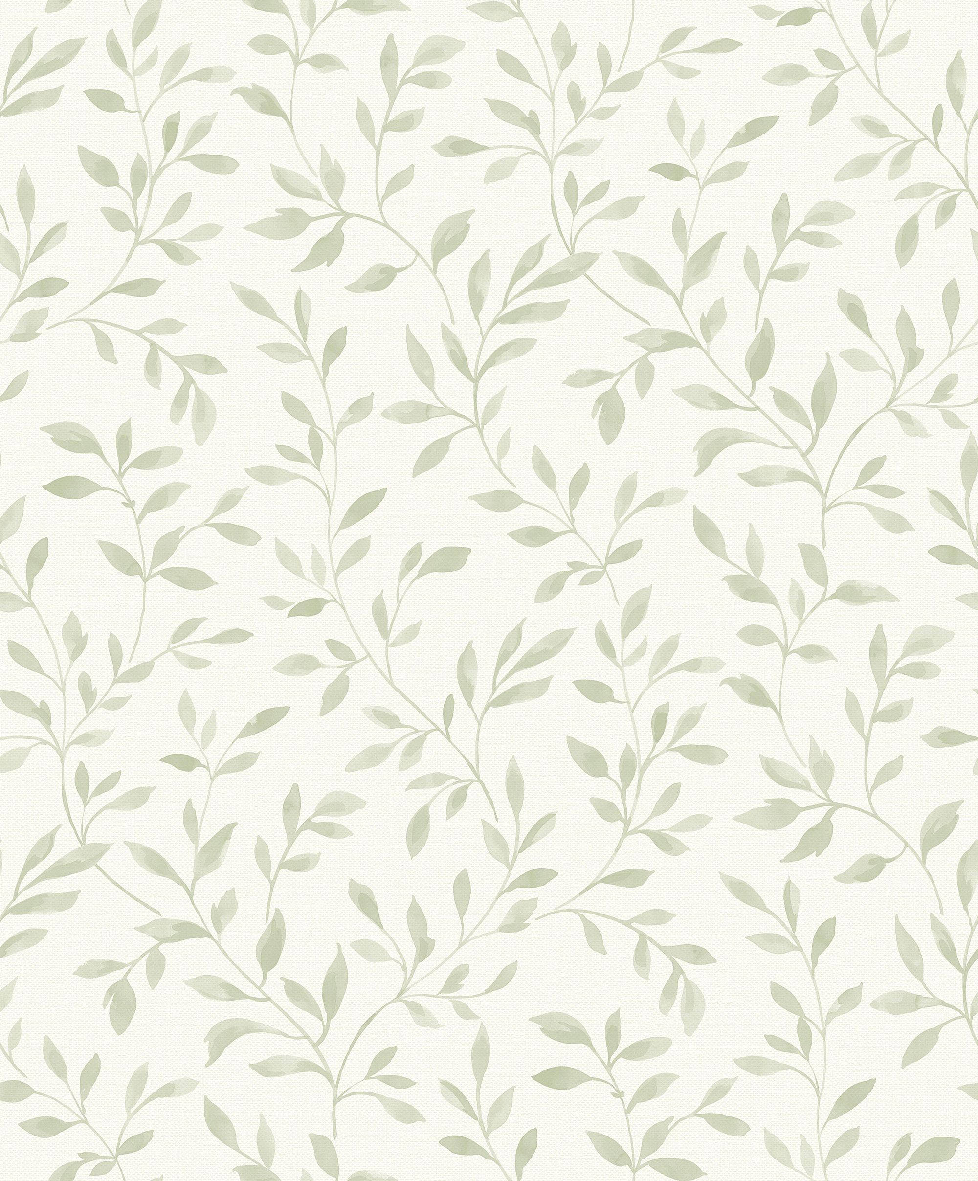 Aesthetic na Sage Green na Baging Wallpaper