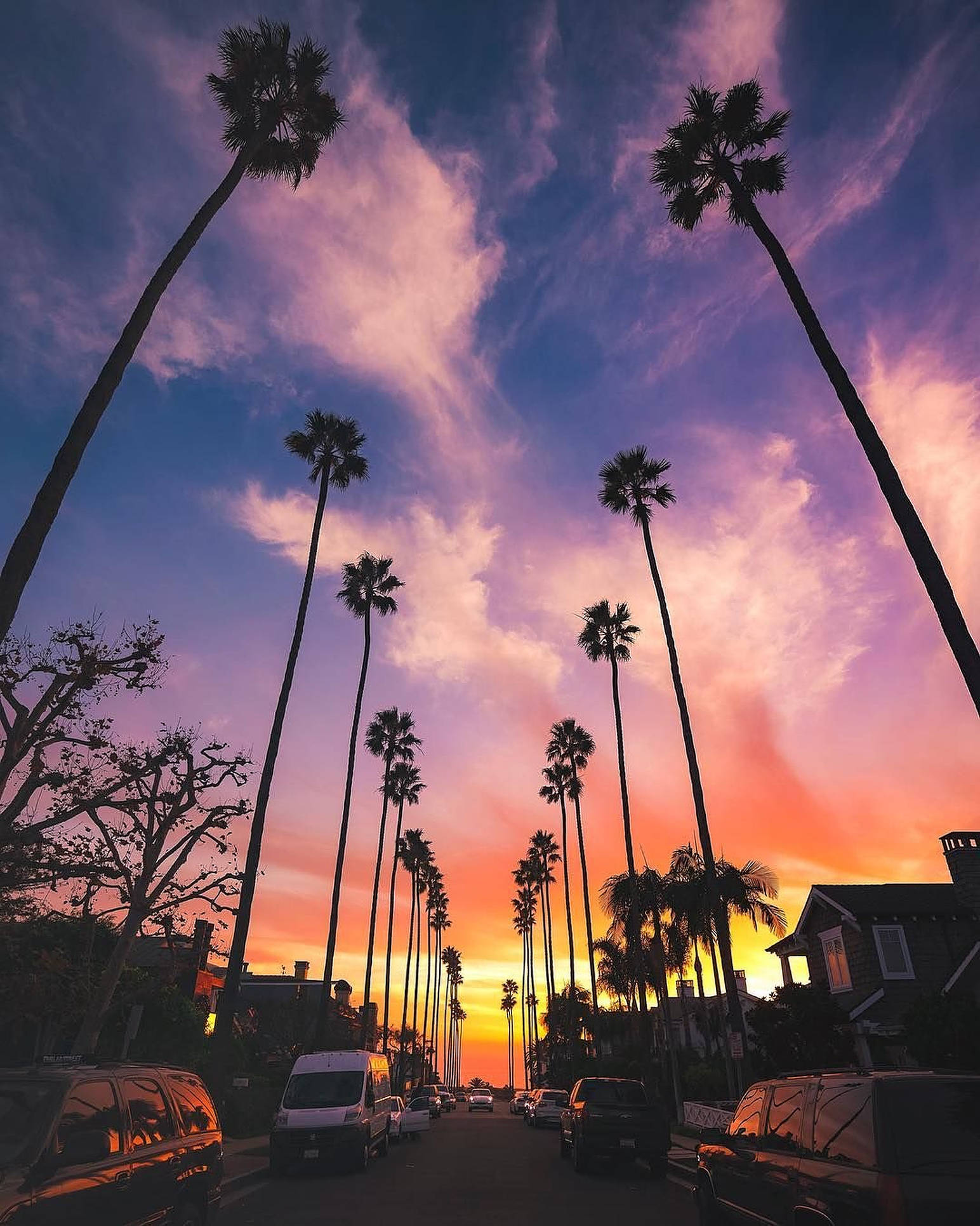 Aesthetic na Sunset Boulevard Wallpaper