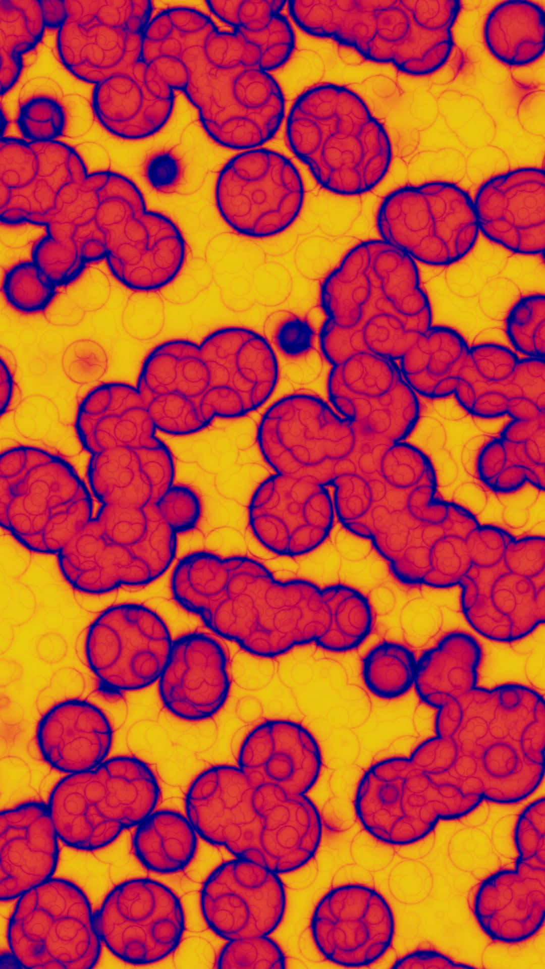Aesthetic na VSCO Pattern Background ng Red Blood Cells Wallpaper