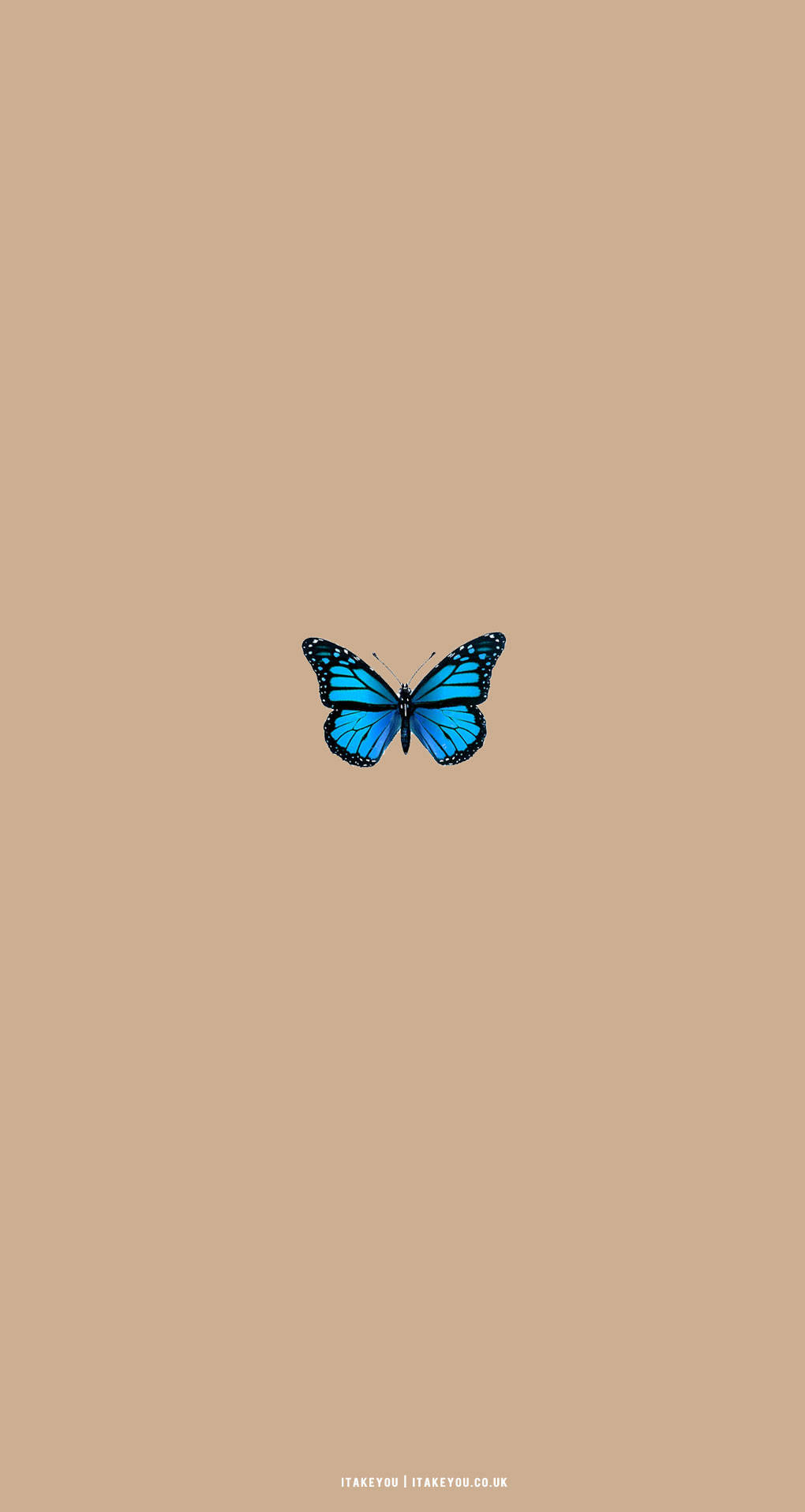 Aesthetic ng Beige na Paru-paro Wallpaper