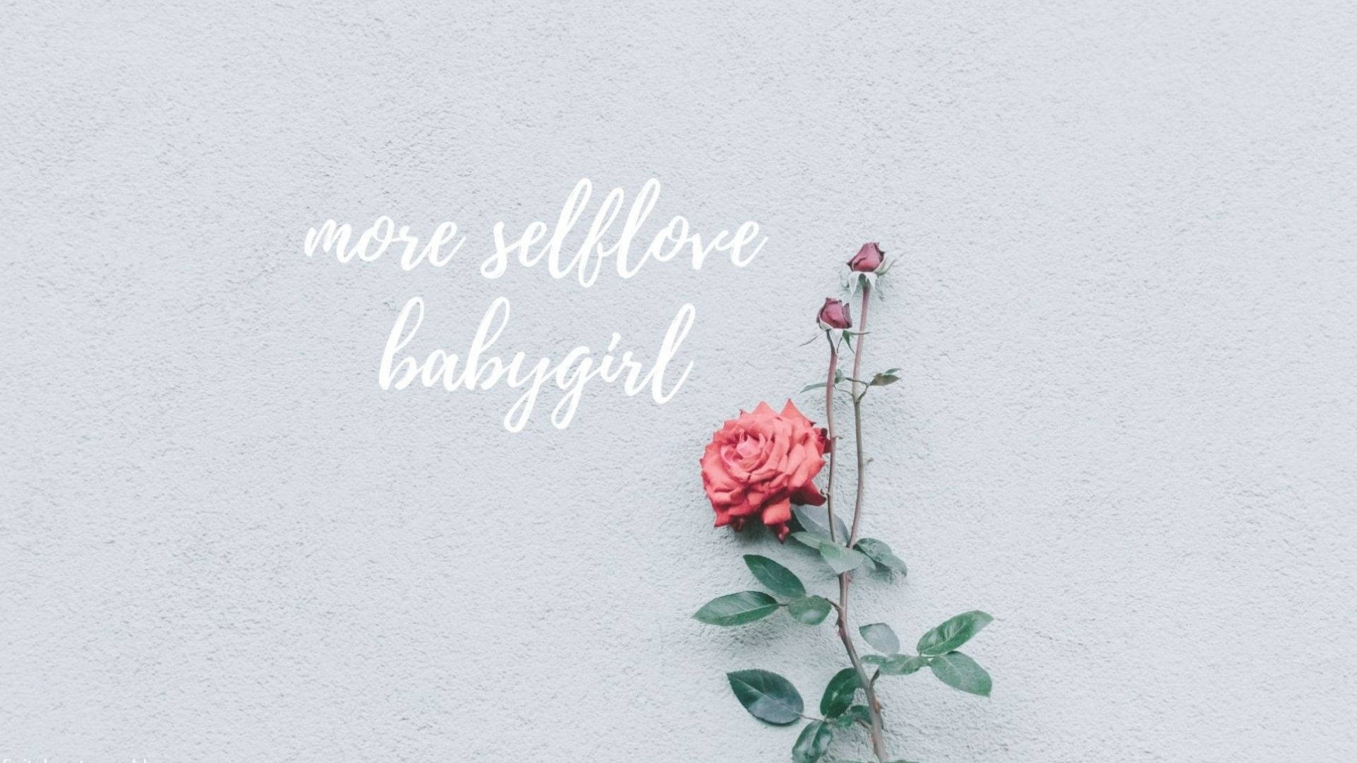 Aesthetic ng Pulang Rosas ng Pag-ibig Wallpaper