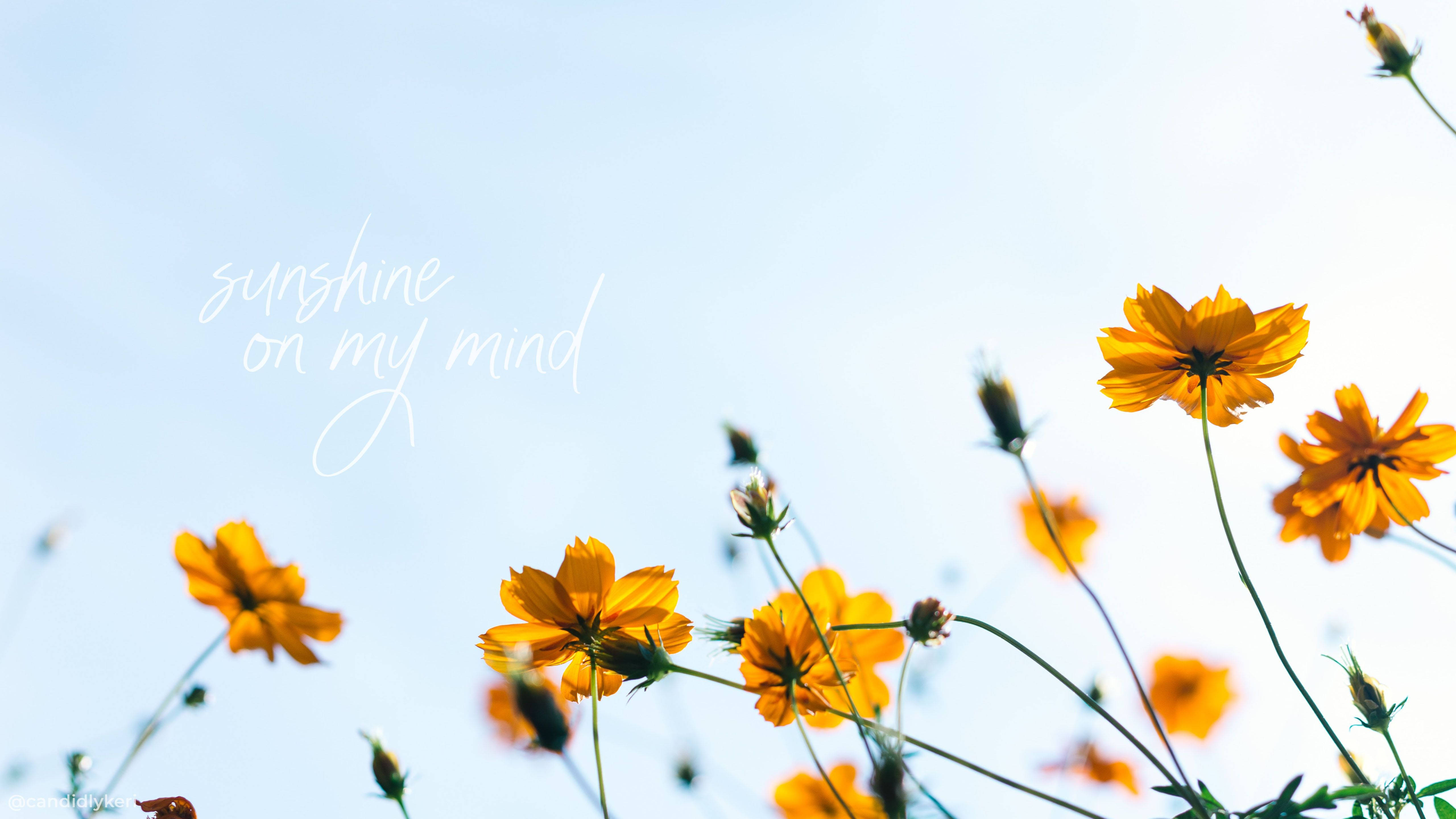 Aesthetic ng Tag-init na Sikat ng Araw na Bulaklak na Quote Wallpaper