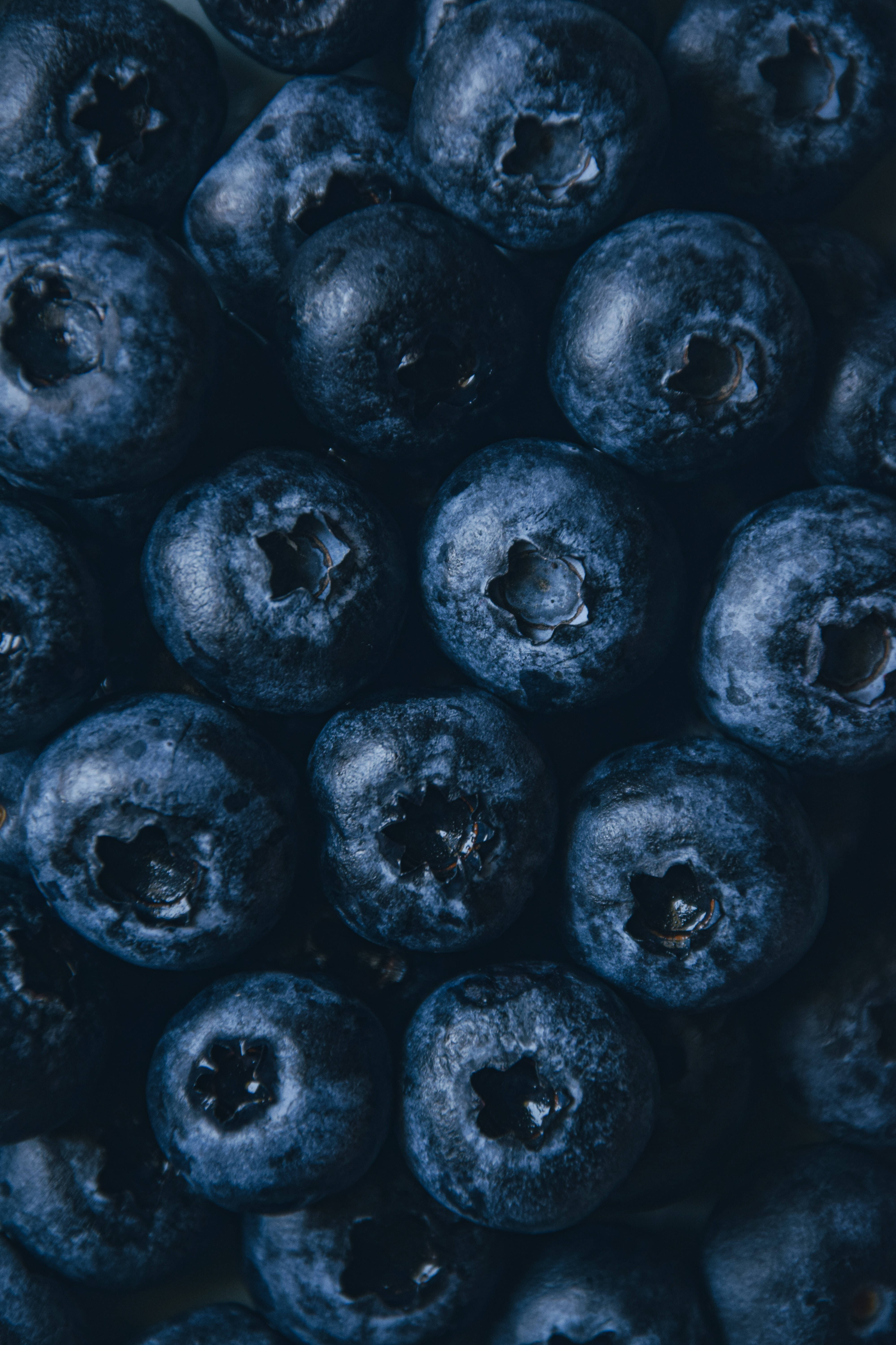 Aesthetic Pattern ng mga Blueberry na Prutas Wallpaper