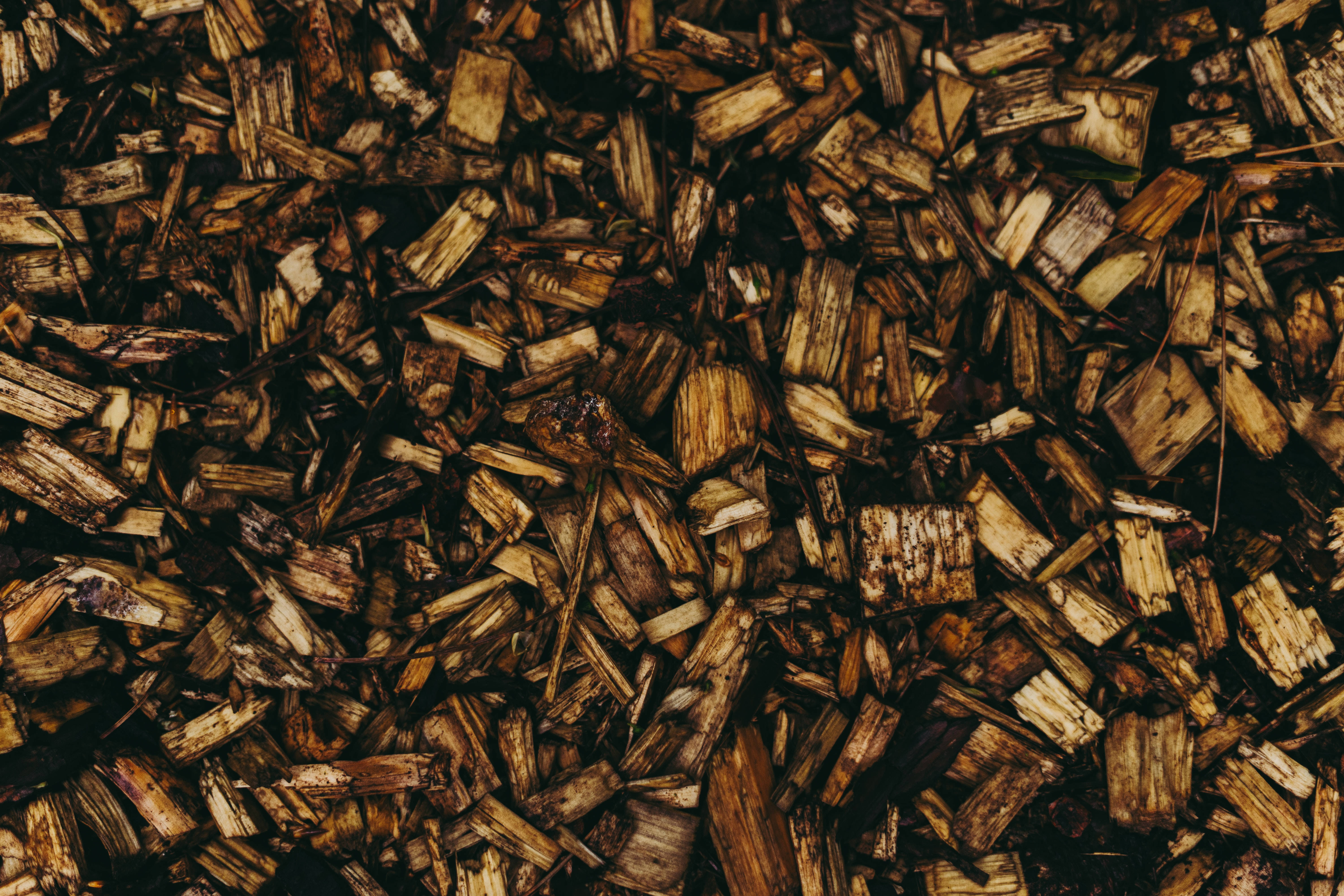Aesthetic Pattern ng Wood Chip Wallpaper